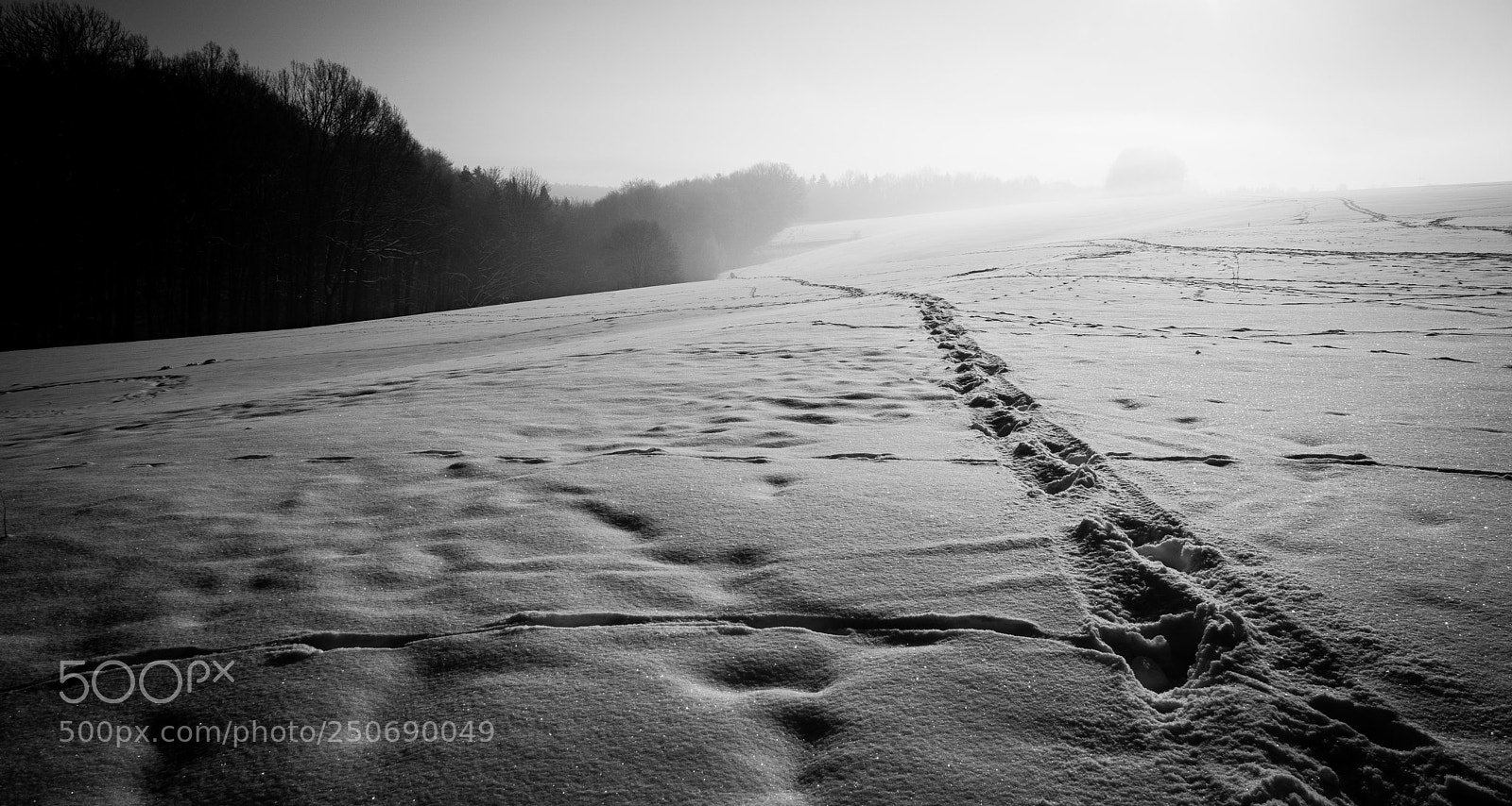 Sony a6000 sample photo. Dramatic winter photography