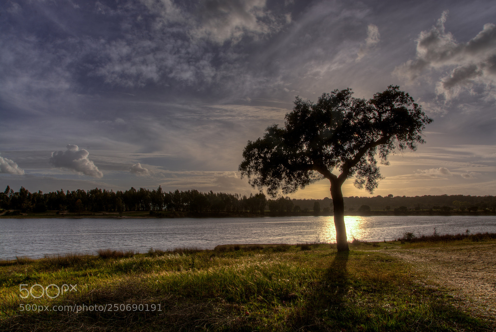 Nikon D7100 sample photo. Montargil photography