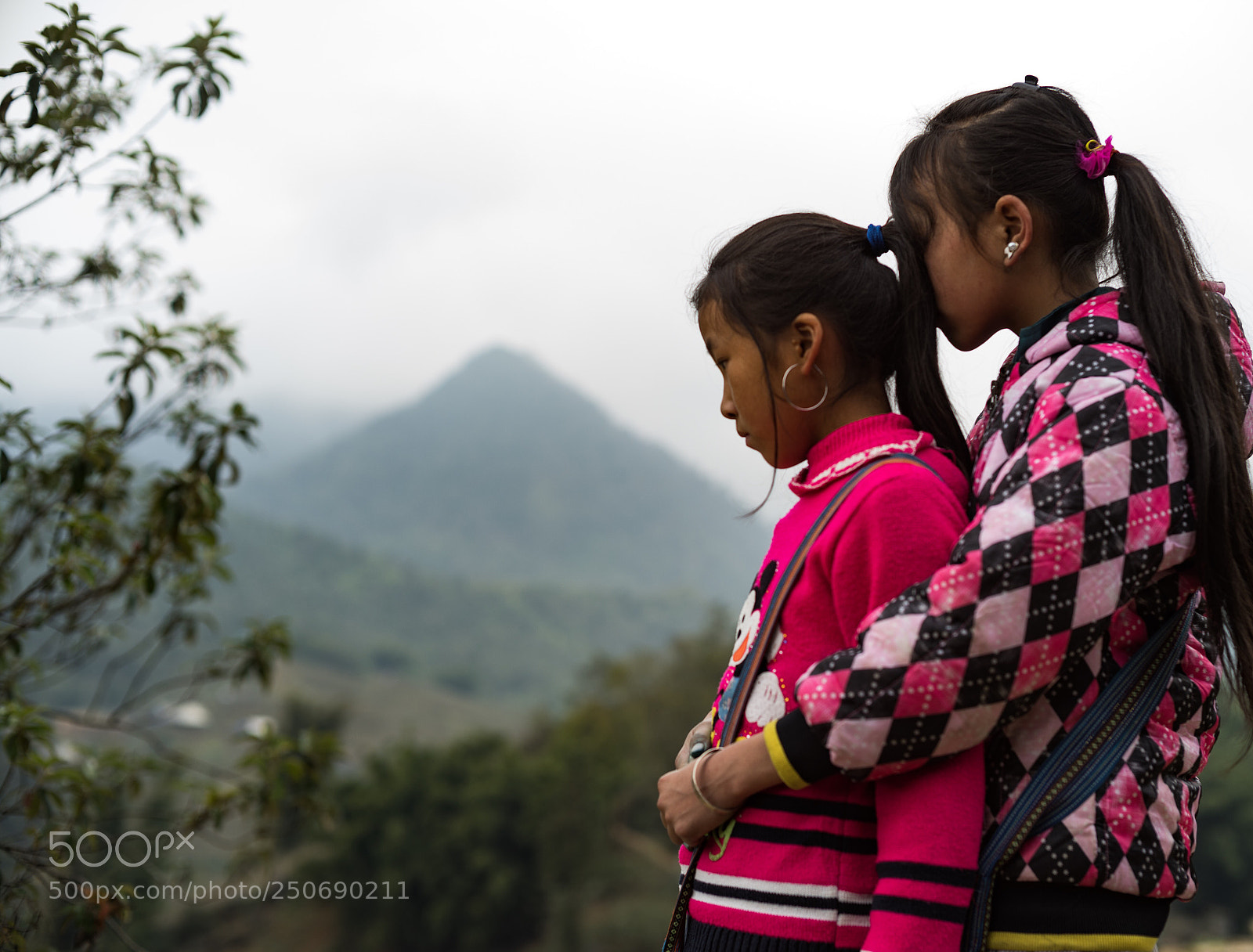 Leica SL (Typ 601) sample photo. Sapa vietnam photography