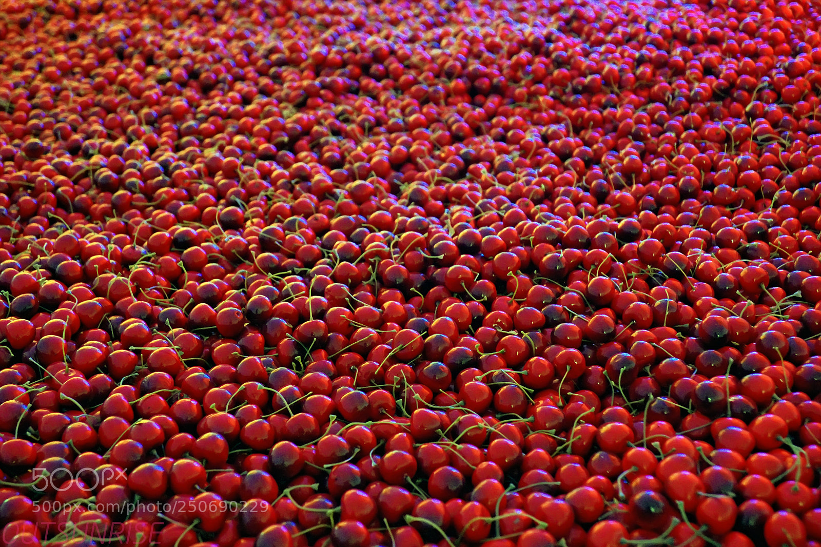 Sony SLT-A65 (SLT-A65V) sample photo. Cherries by outsunrise photography