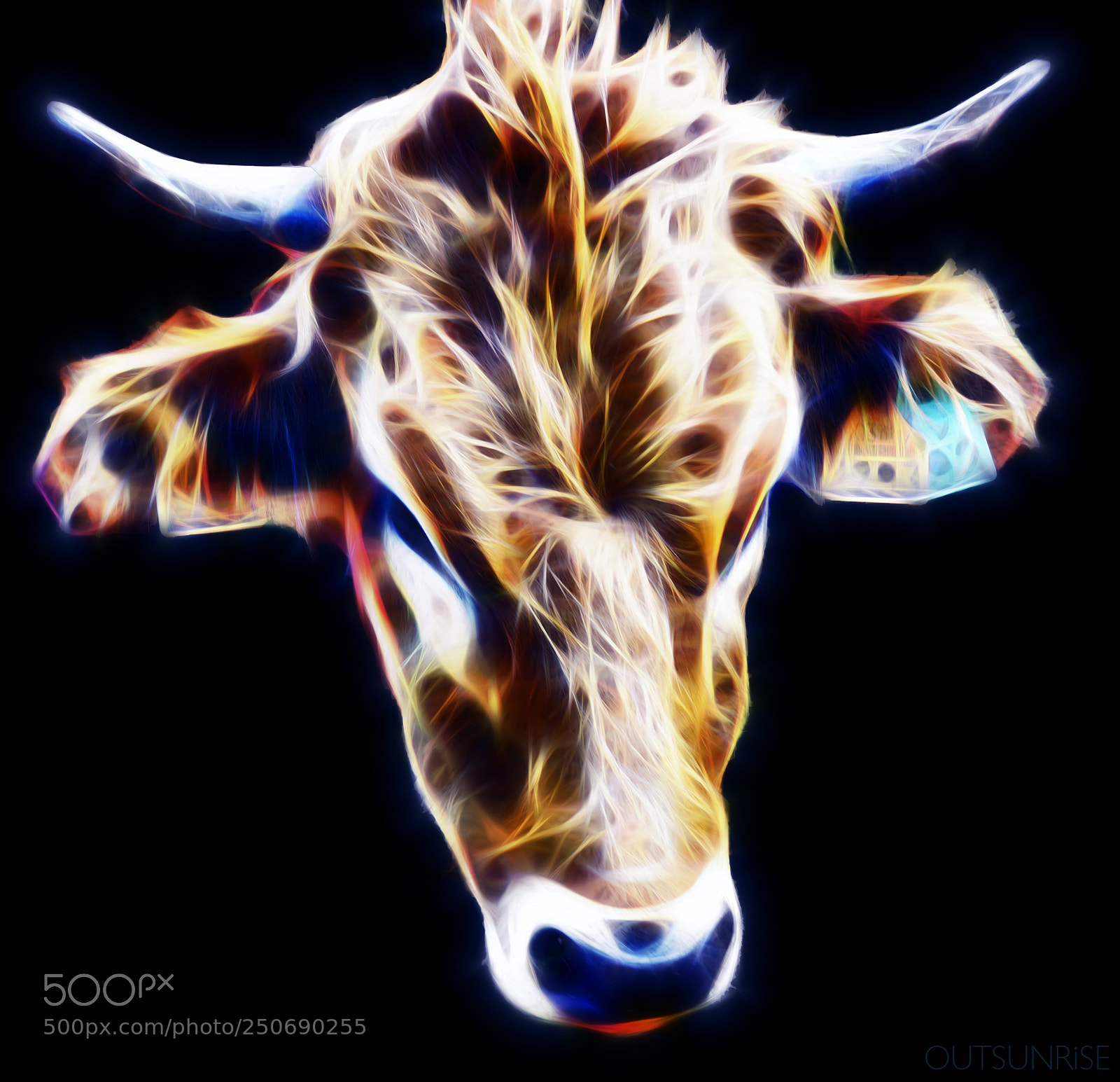 Sony SLT-A65 (SLT-A65V) sample photo. Cow worker by outsunrise photography