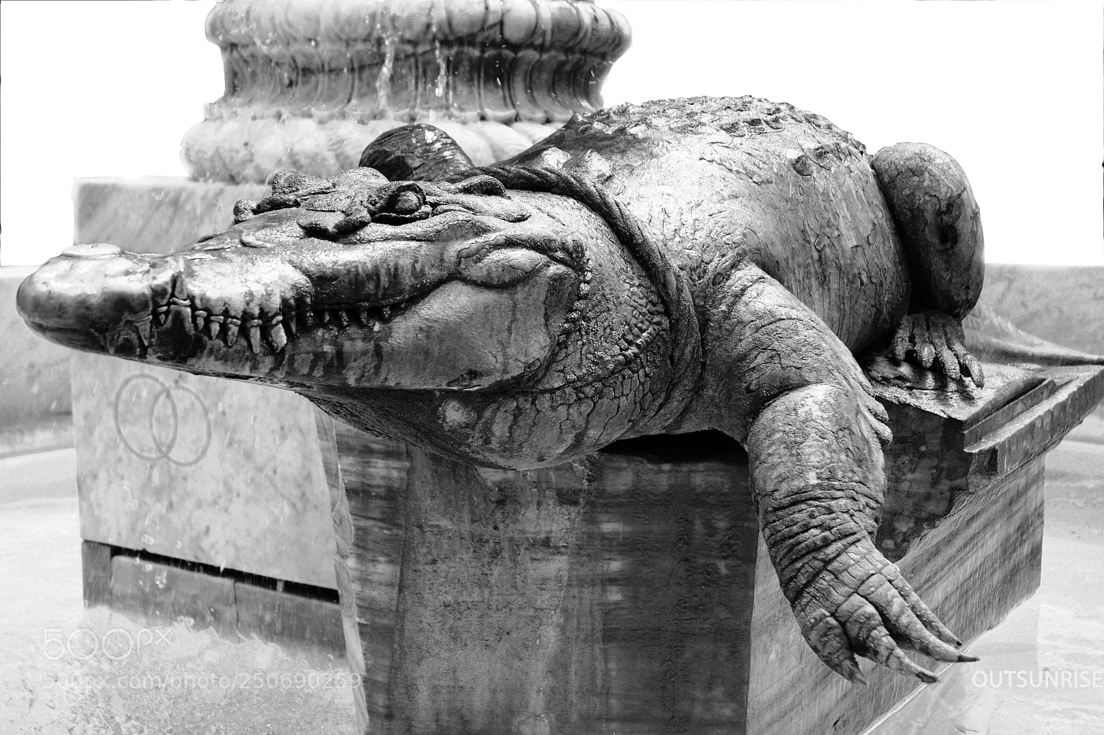 Sony SLT-A65 (SLT-A65V) sample photo. Crocodilus by outsunrise photography