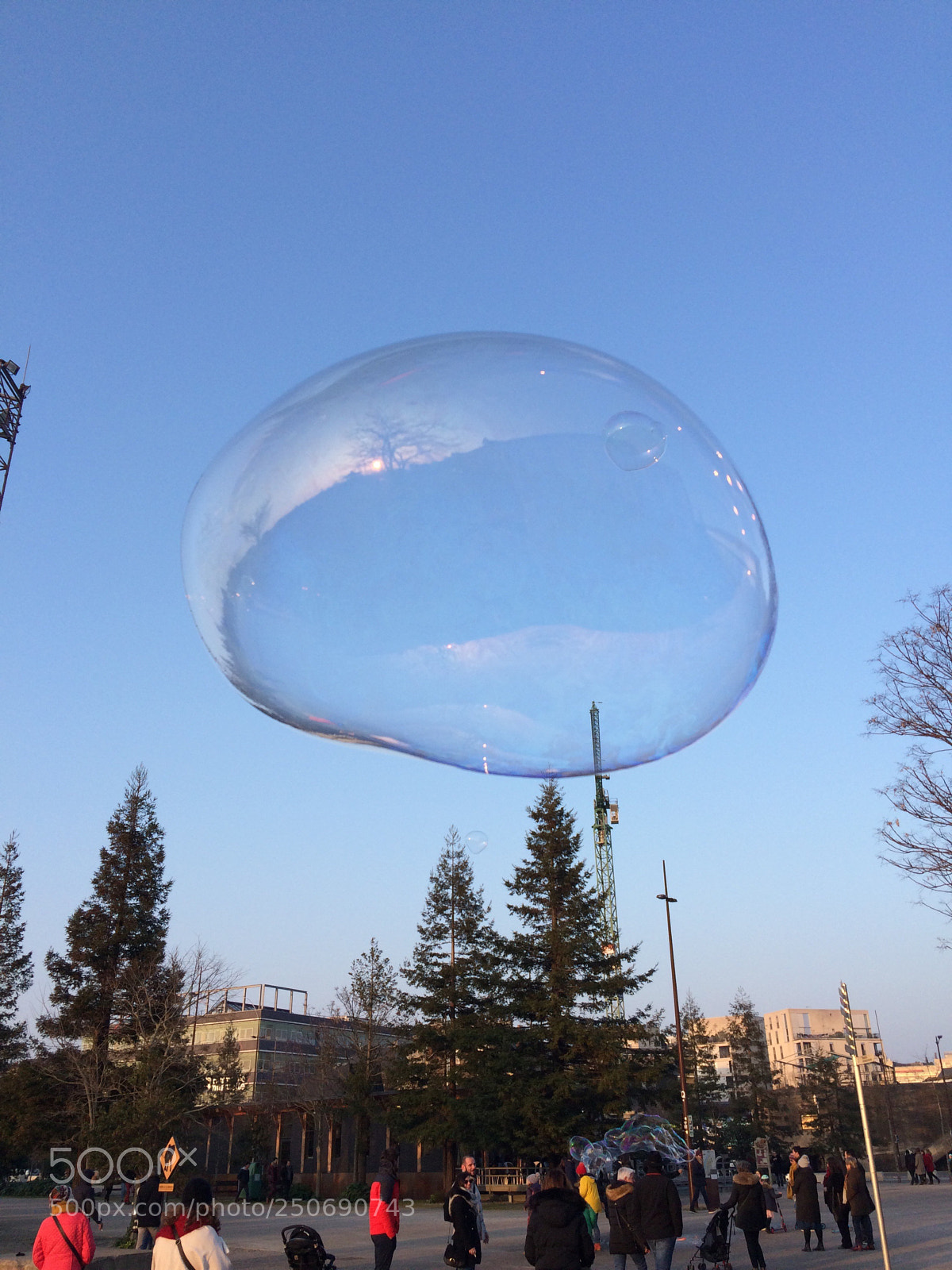 Apple iPhone 5s sample photo. Little bubble of life photography