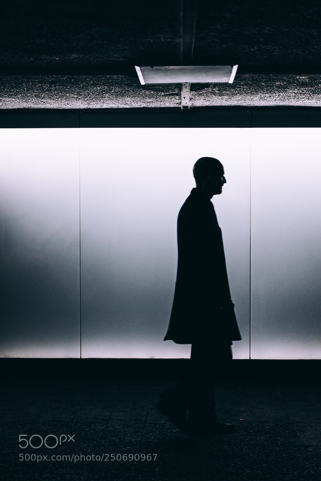 Sony a7 II sample photo. Hitman photography