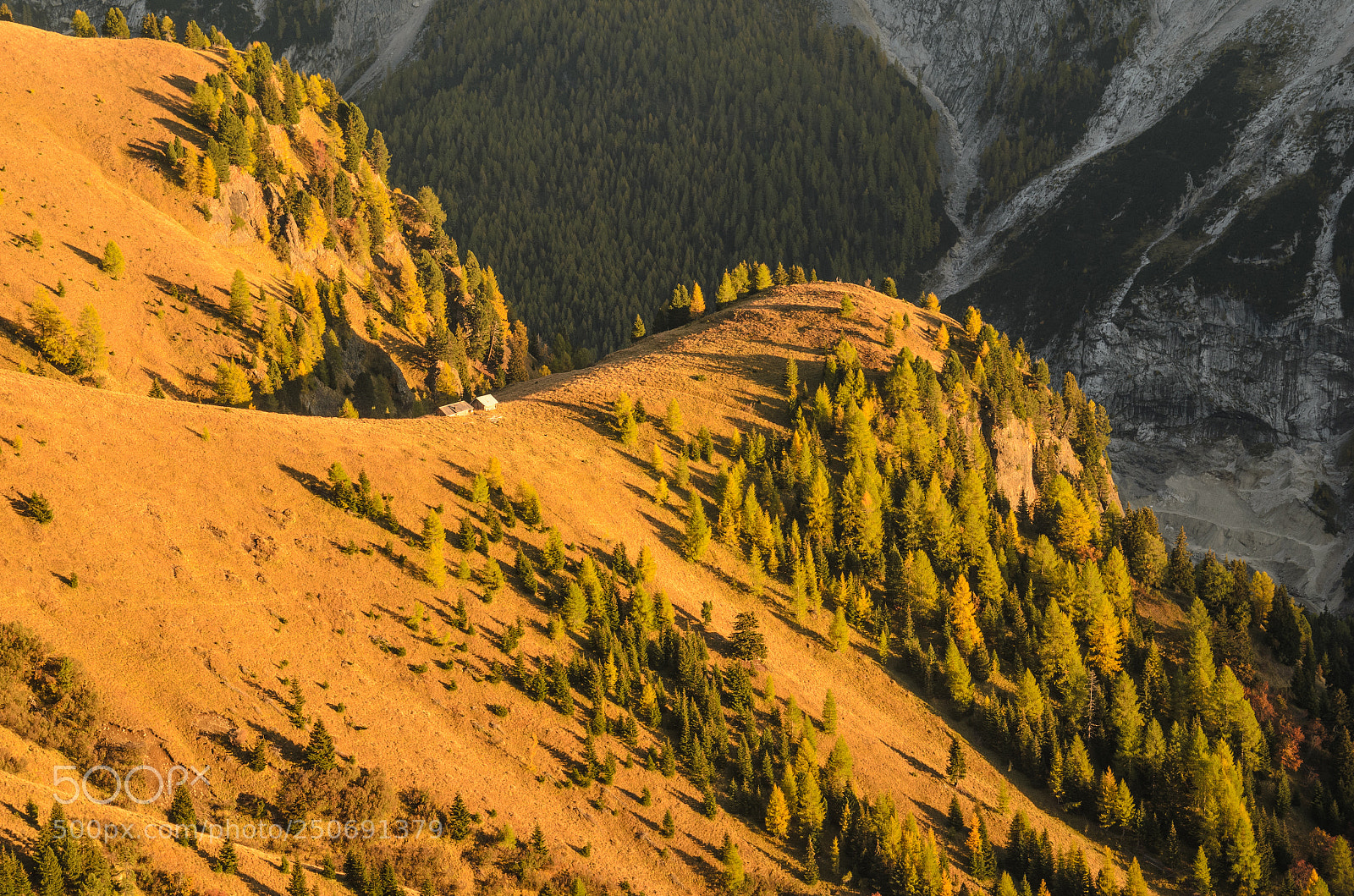 Nikon D5100 sample photo. Evening sunlight in dolomites photography