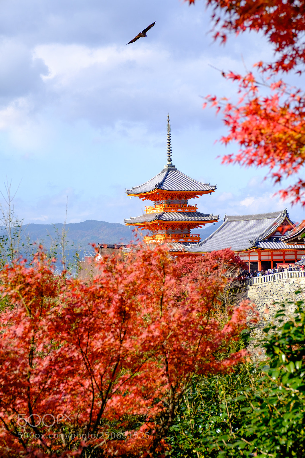 Fujifilm X-T1 sample photo. Red leaves in kyoto photography