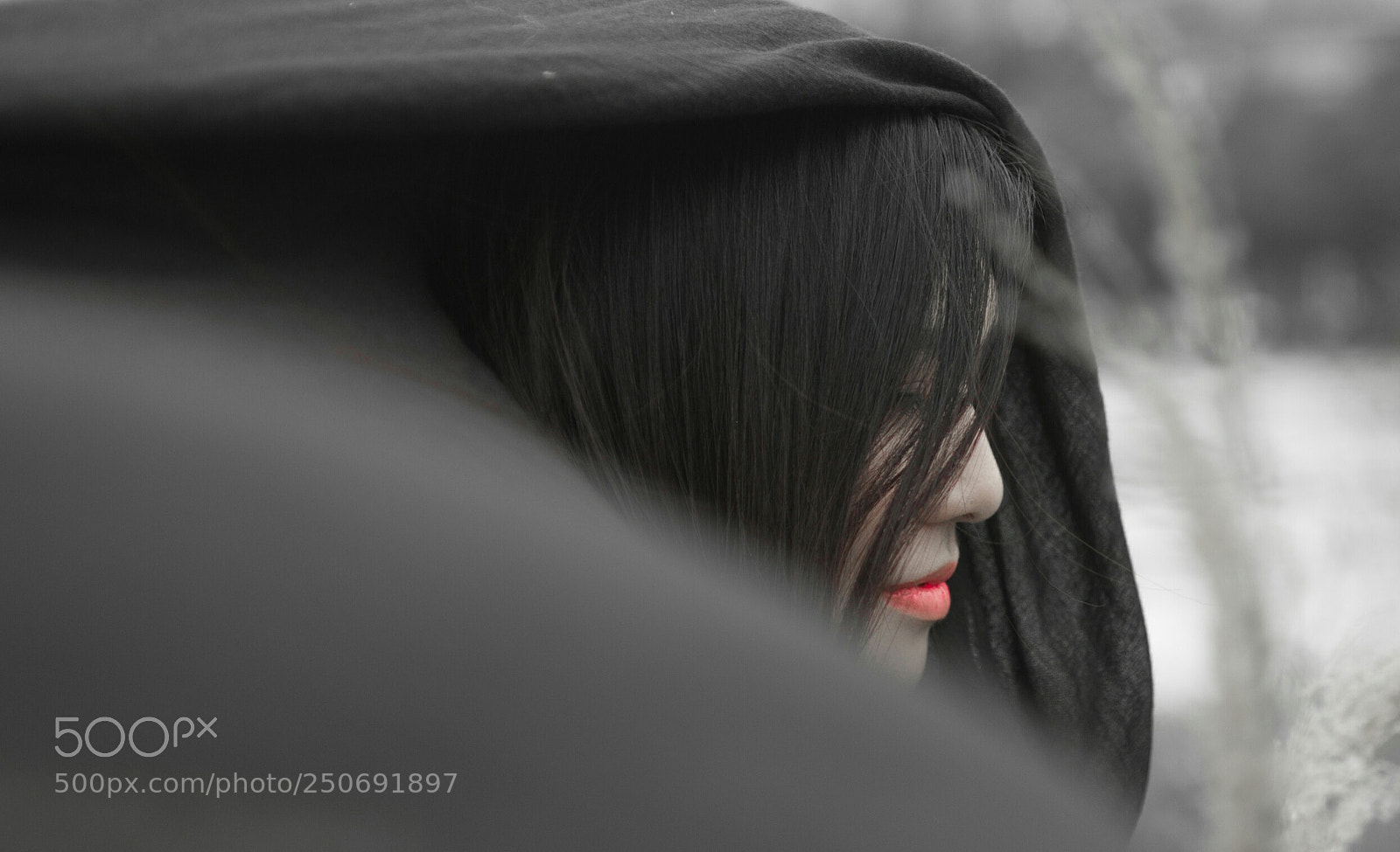Nikon D700 sample photo. 藏 photography