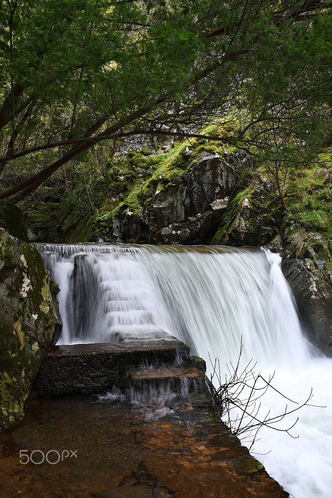 Nikon D7500 sample photo. Lousã photography