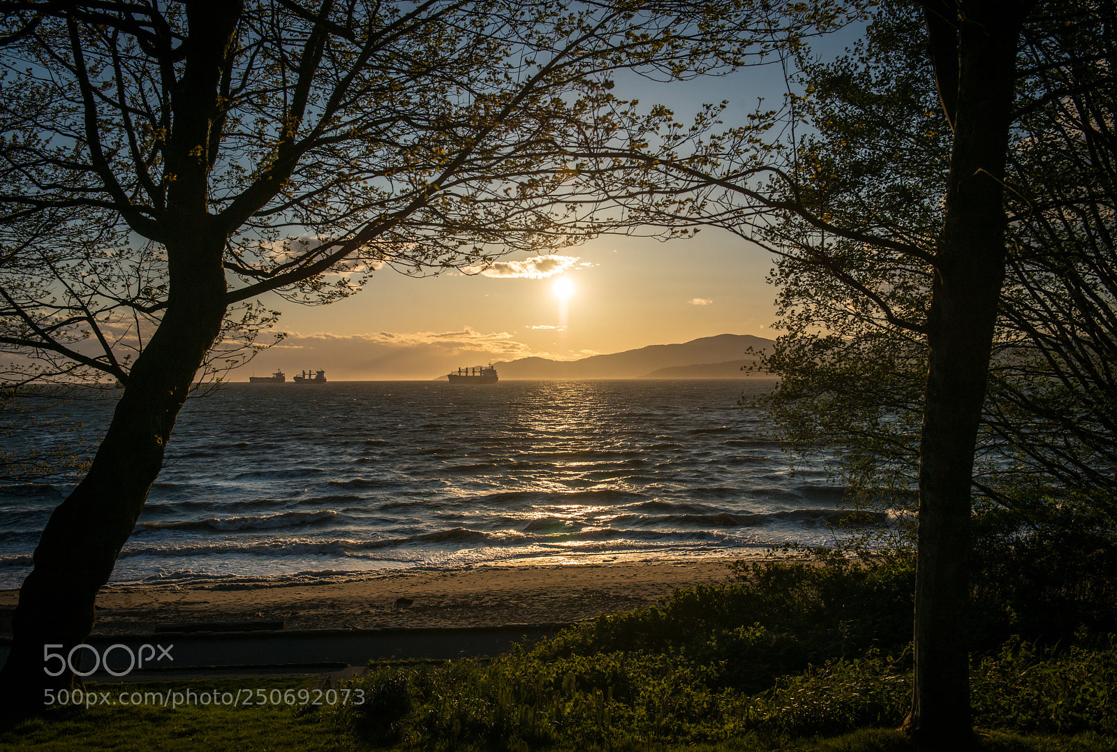 Nikon D800 sample photo. West coast sunset ii photography