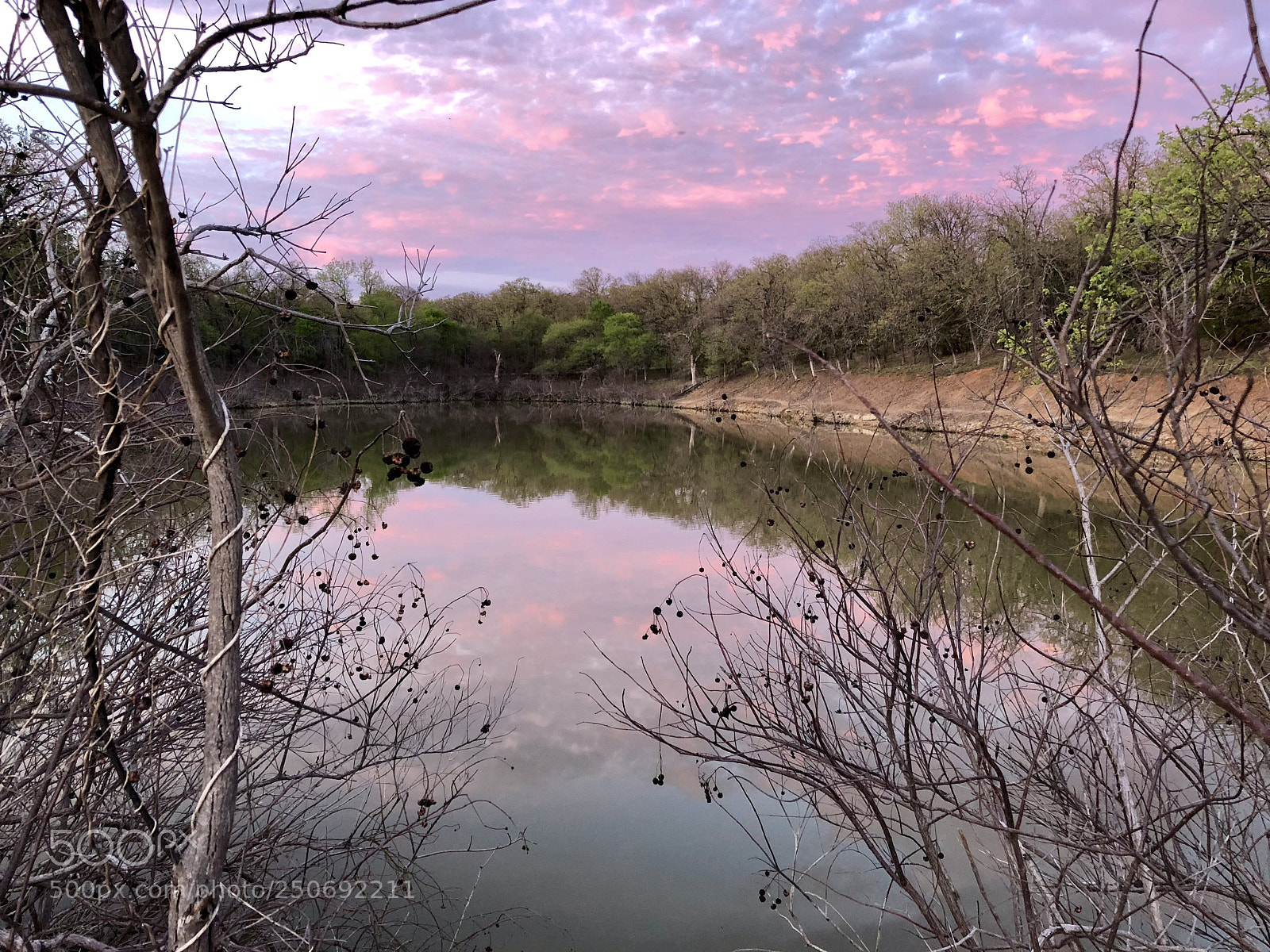 Apple iPhone X sample photo. Pink reflections photography