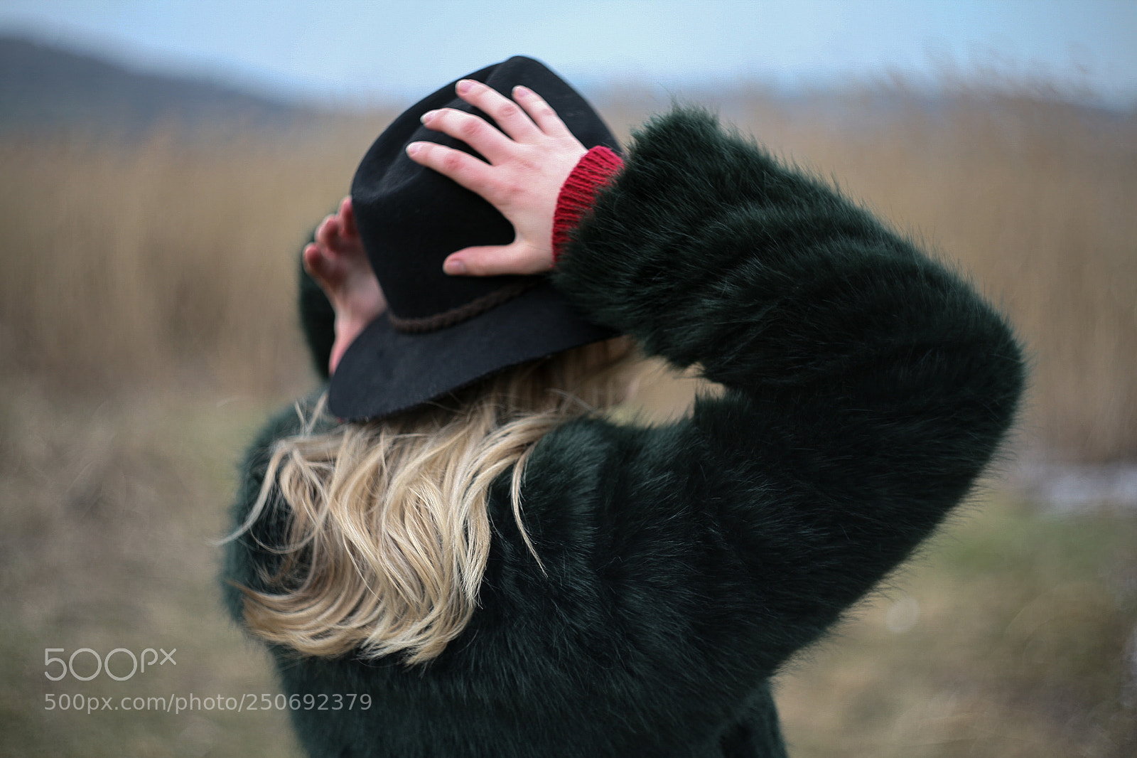 Canon EOS 5D sample photo. Blondie photography