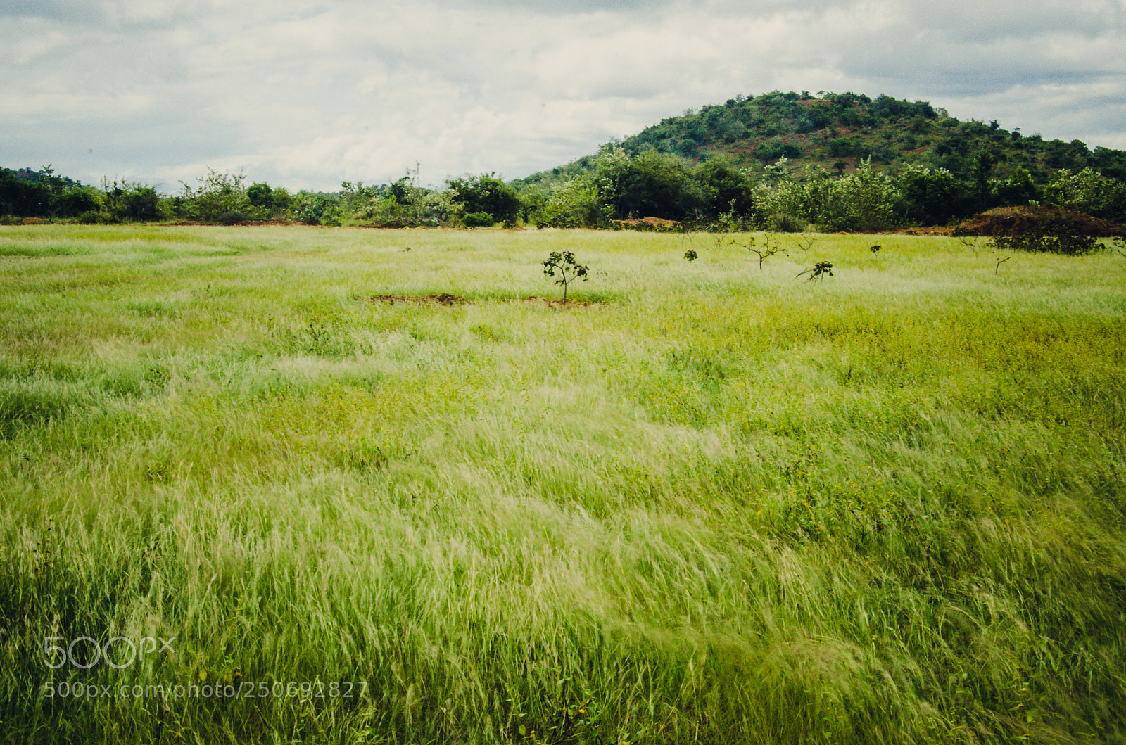 Nikon D7000 sample photo. On a windy day photography