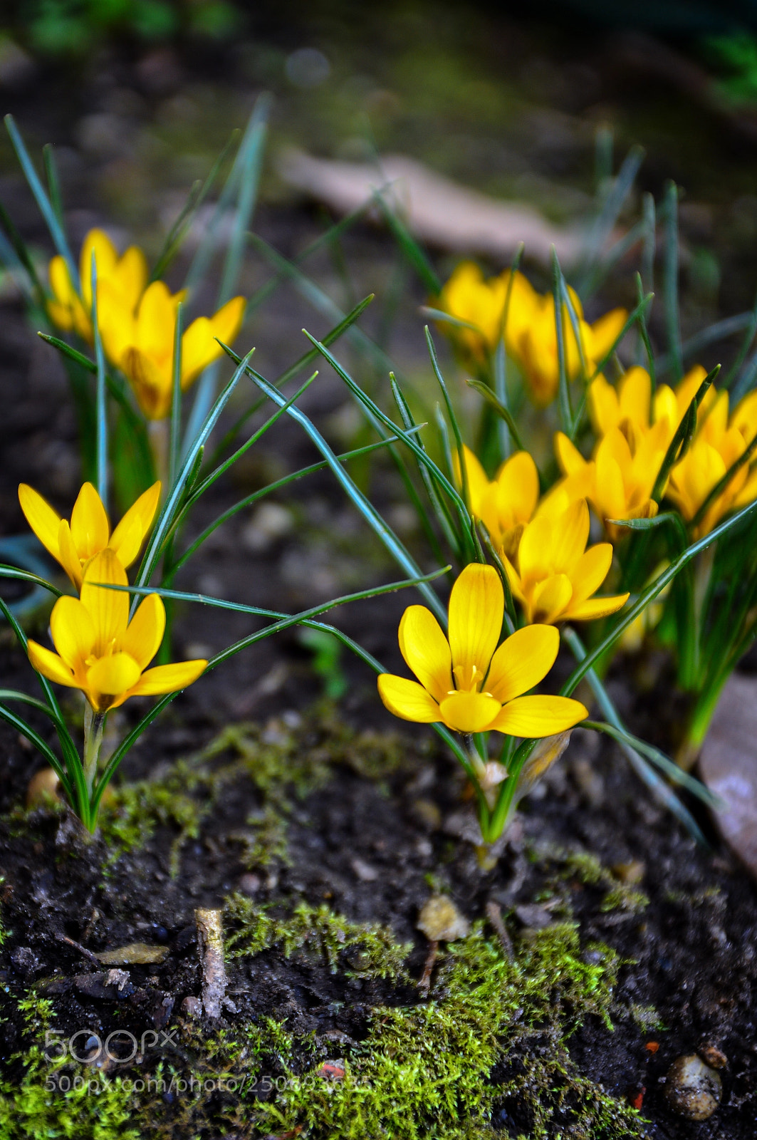 Nikon D3200 sample photo. To the sun photography