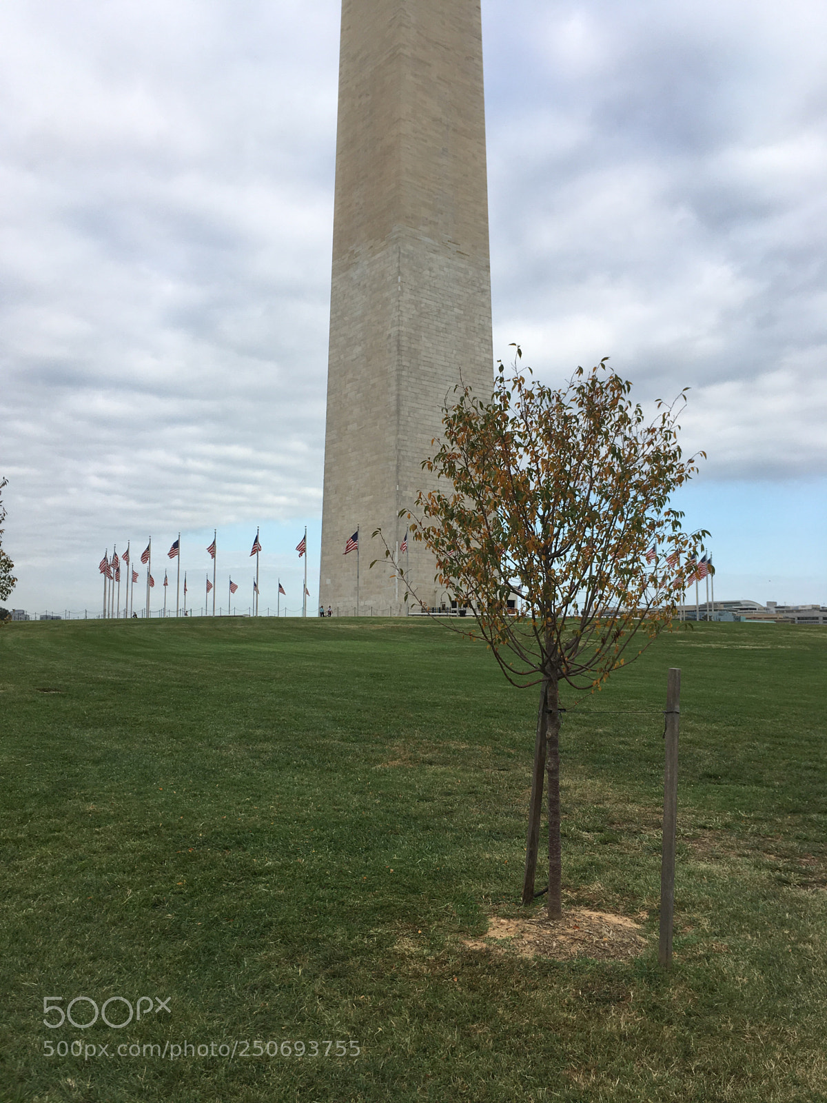 Apple iPhone SE sample photo. Washington memorial, washington dc photography