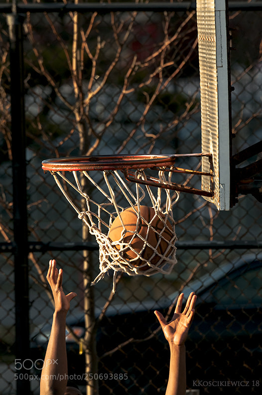 Nikon D300S sample photo. Full basket and handsup photography