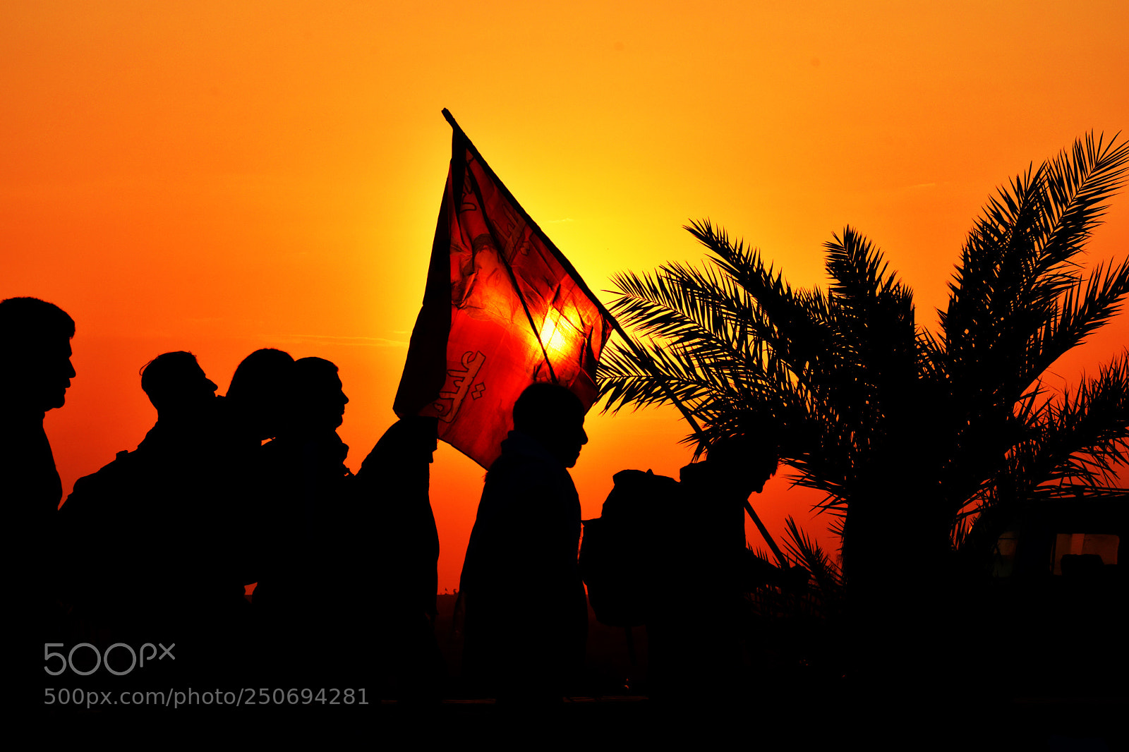Nikon D5600 sample photo. Arbaeen walking photography