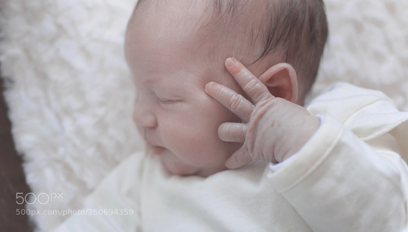 Nikon D5300 sample photo. Untitled photography