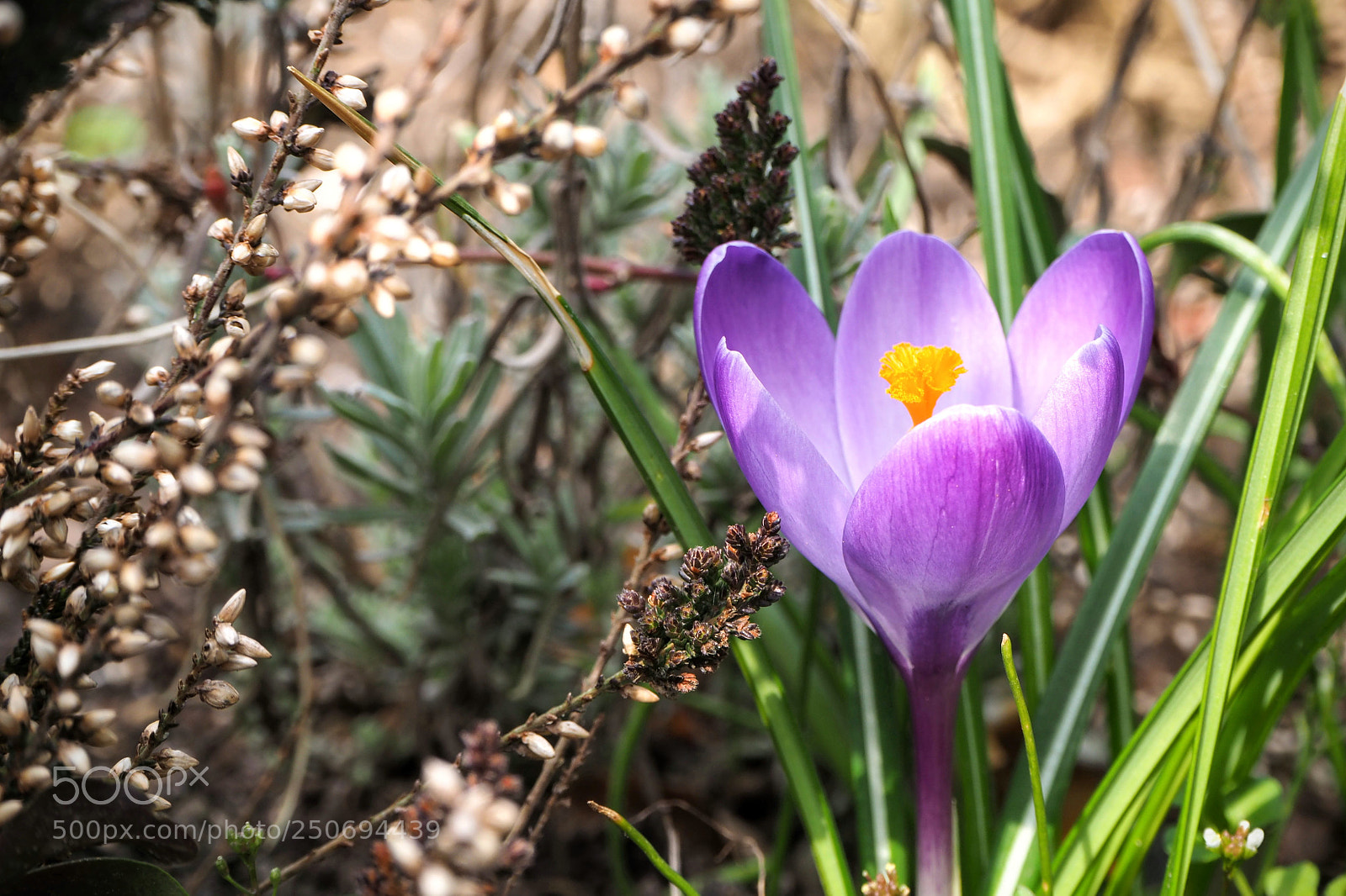 Olympus OM-D E-M10 II sample photo. Clash of the seasons photography