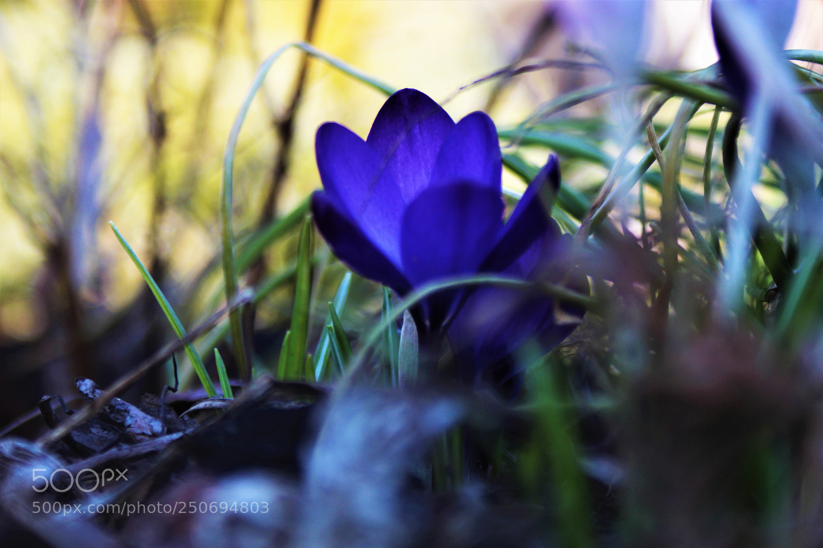 Canon EOS 1200D (EOS Rebel T5 / EOS Kiss X70 / EOS Hi) sample photo. ...a litlle... photography