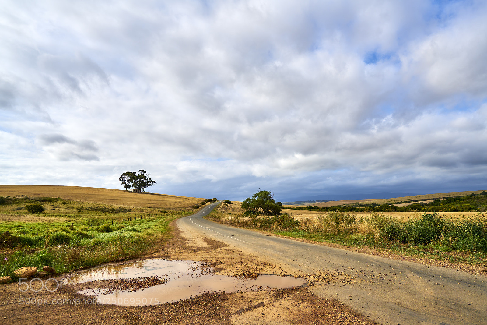Sony a7R II sample photo. Bumpy road photography