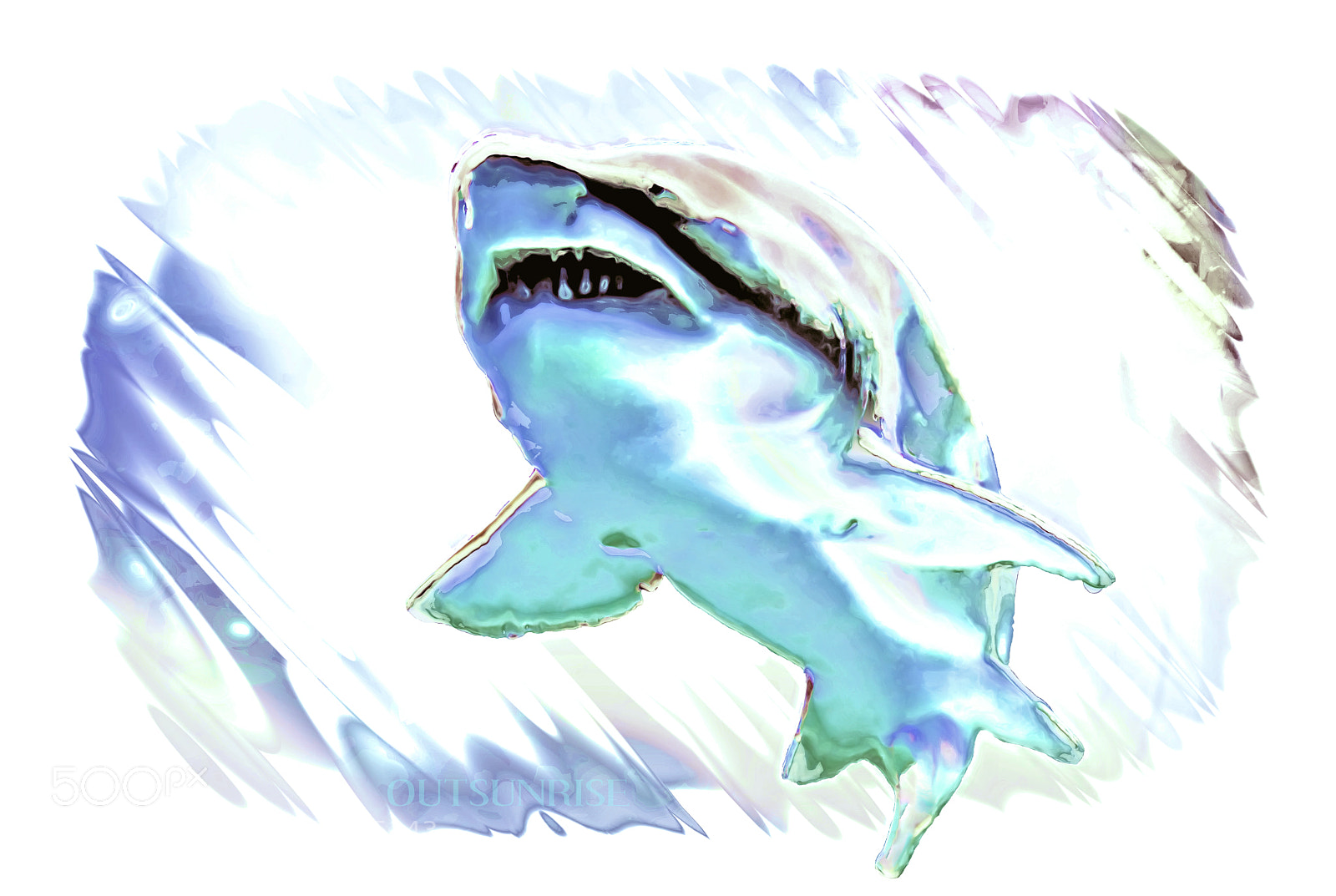 Sony SLT-A65 (SLT-A65V) sample photo. Fastshark by outsunrise photography