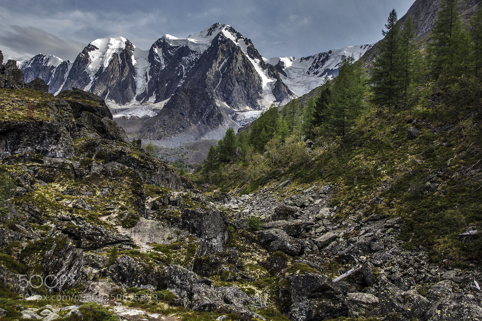 Canon EOS 60D sample photo. Taiga altai mountains photography