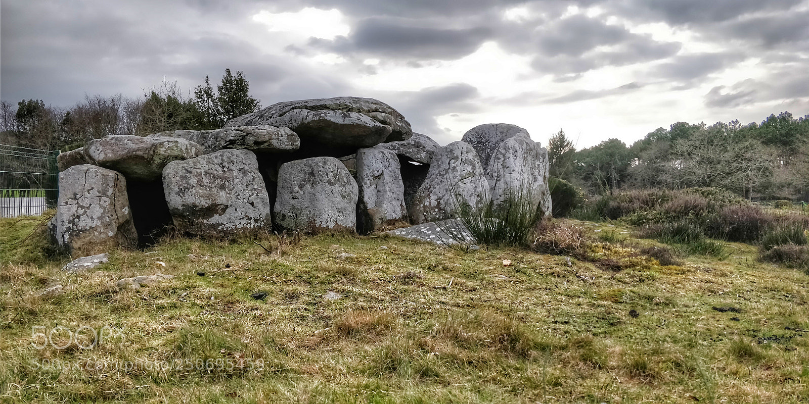 OnePlus 5T sample photo. Carnac photography