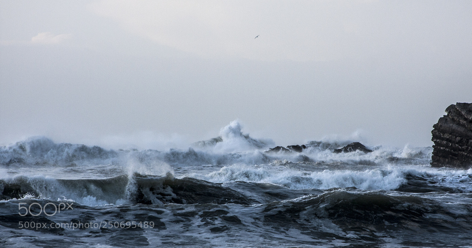 Canon EOS 40D sample photo. Stormy crackington photography