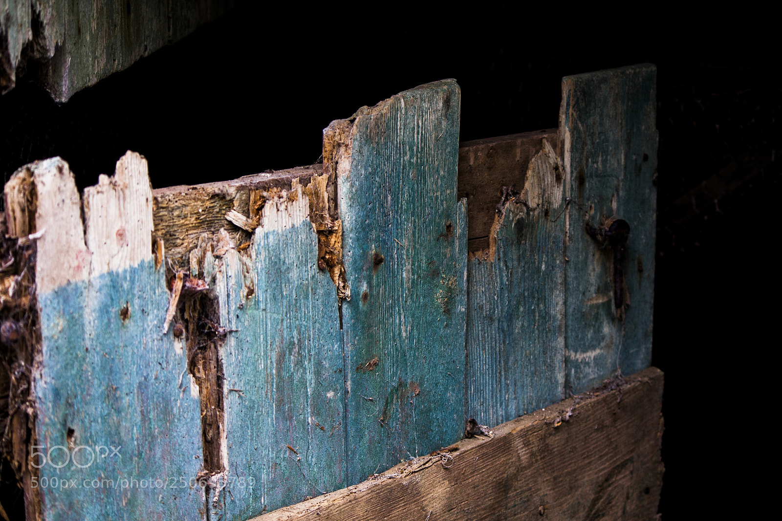 Canon EOS 40D sample photo. Rotting photography