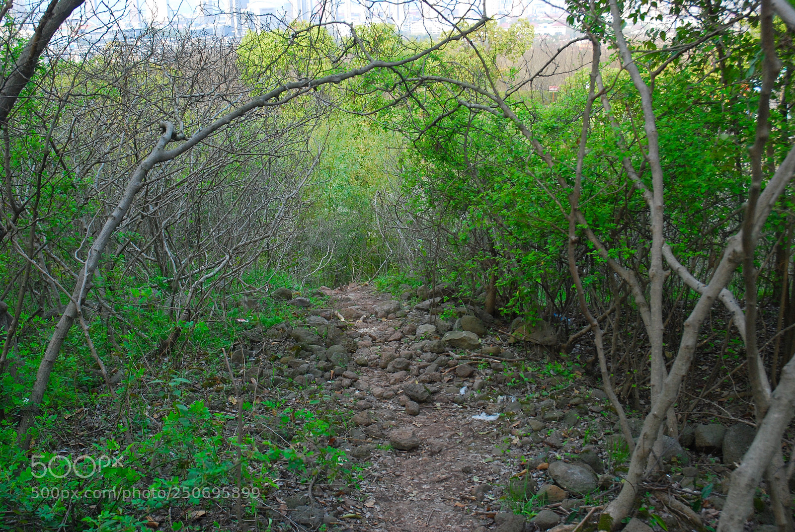 Nikon D80 sample photo. Untitled photography