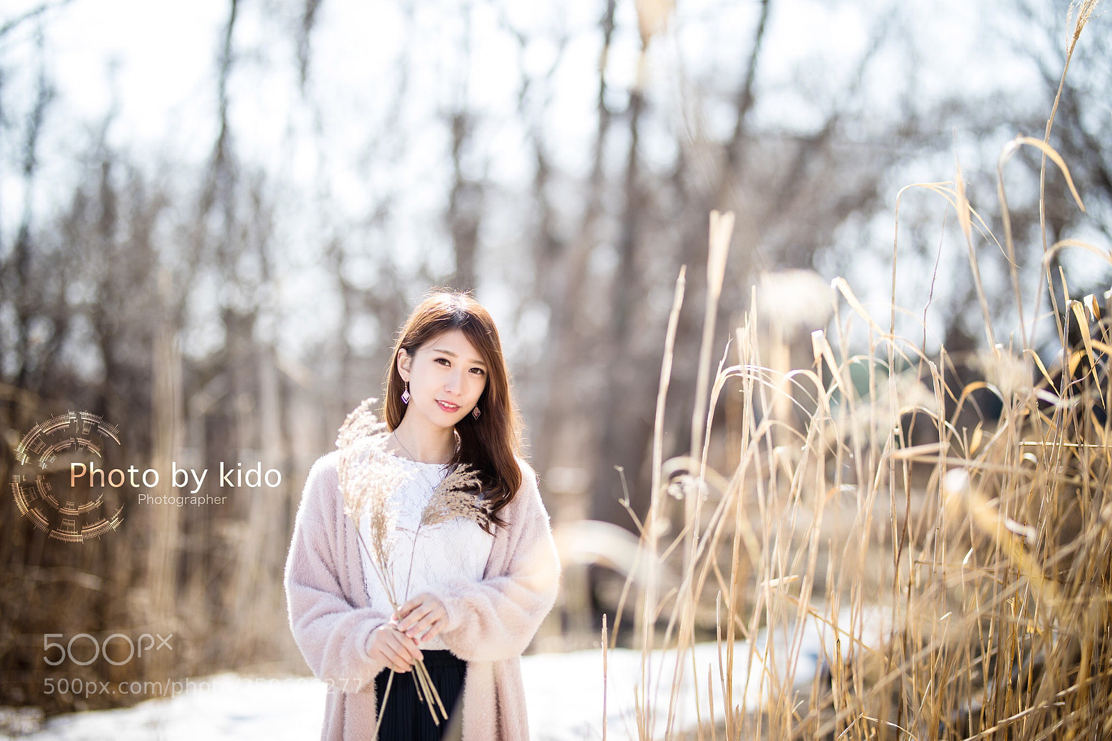 Canon EOS 5D Mark IV sample photo. Untitled photography