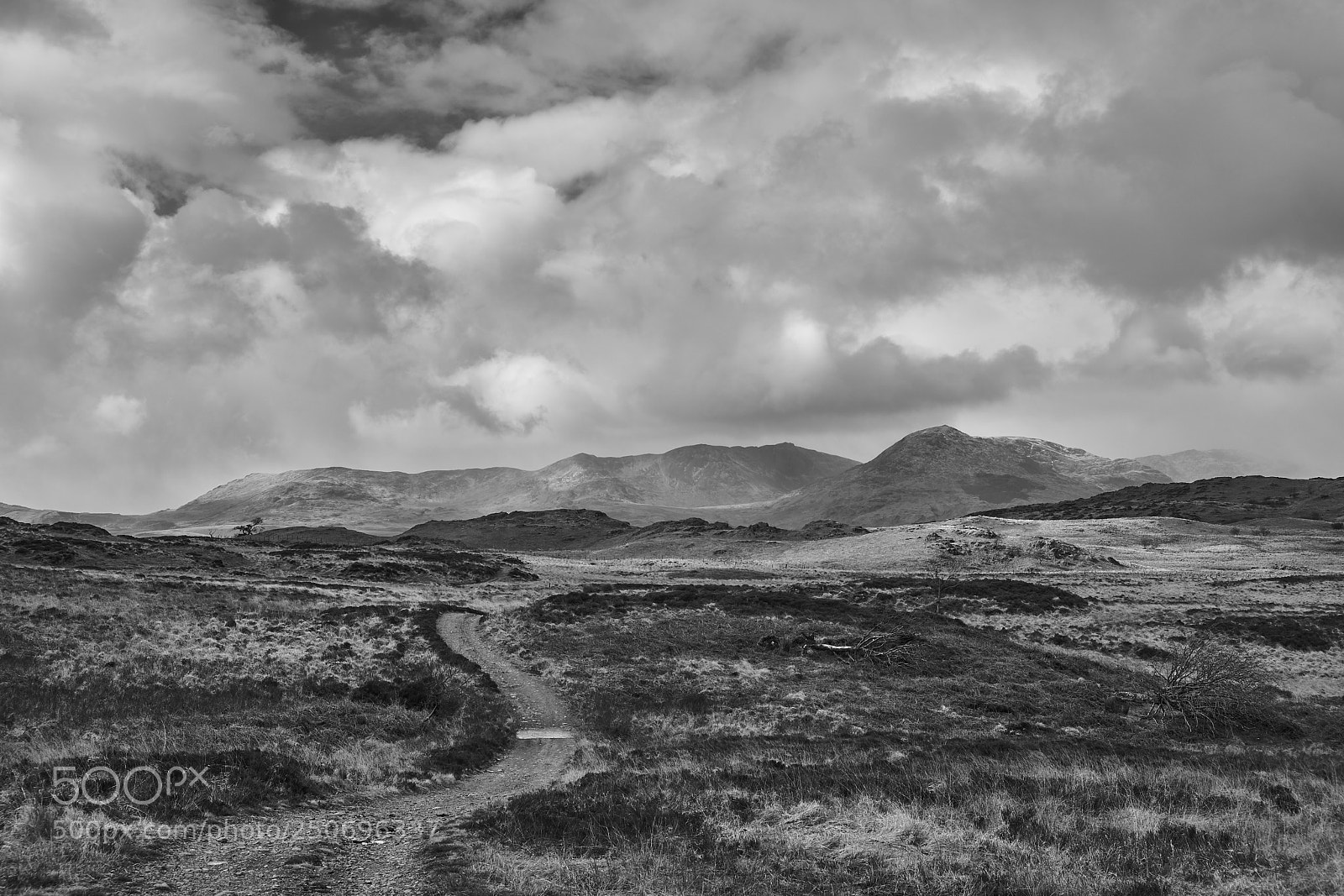 Fujifilm X-T20 sample photo. Bethecar moor photography