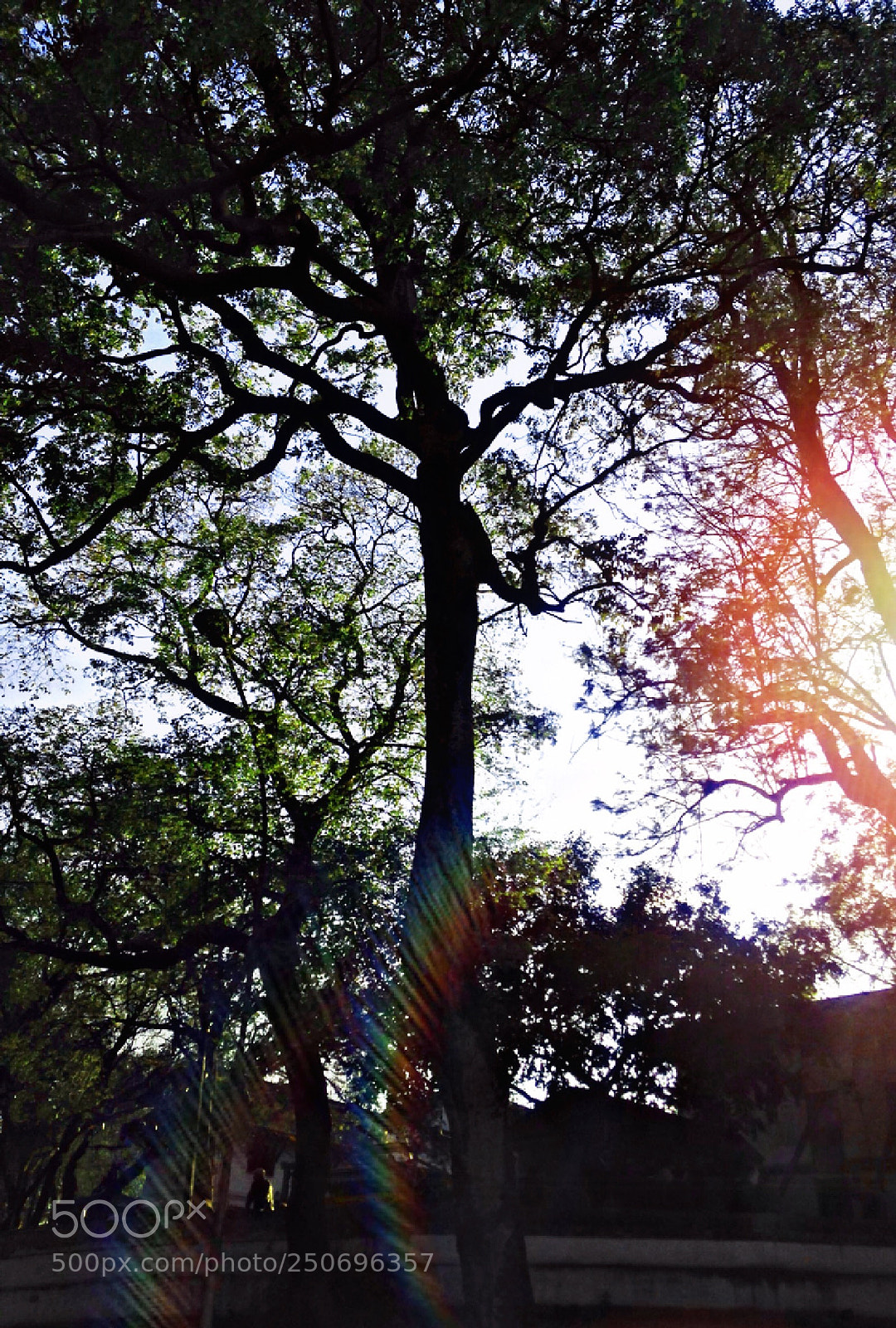 Apple iPhone 5 sample photo. Sun shines even in photography