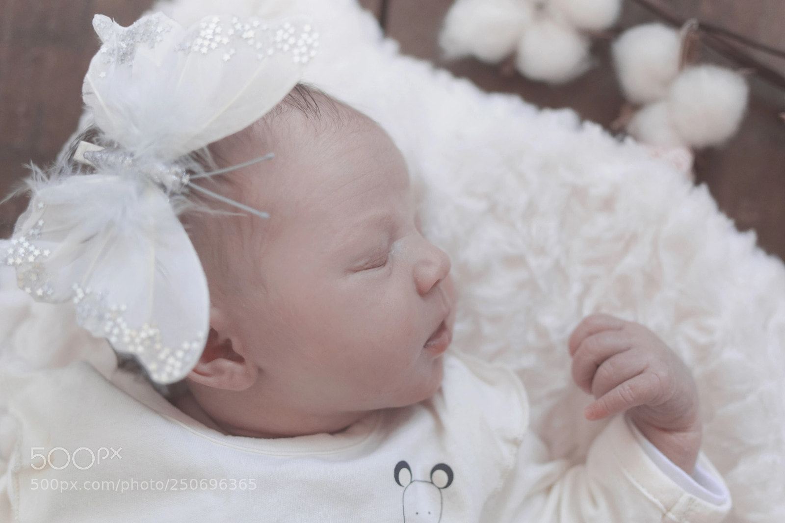Nikon D5300 sample photo. Untitled photography