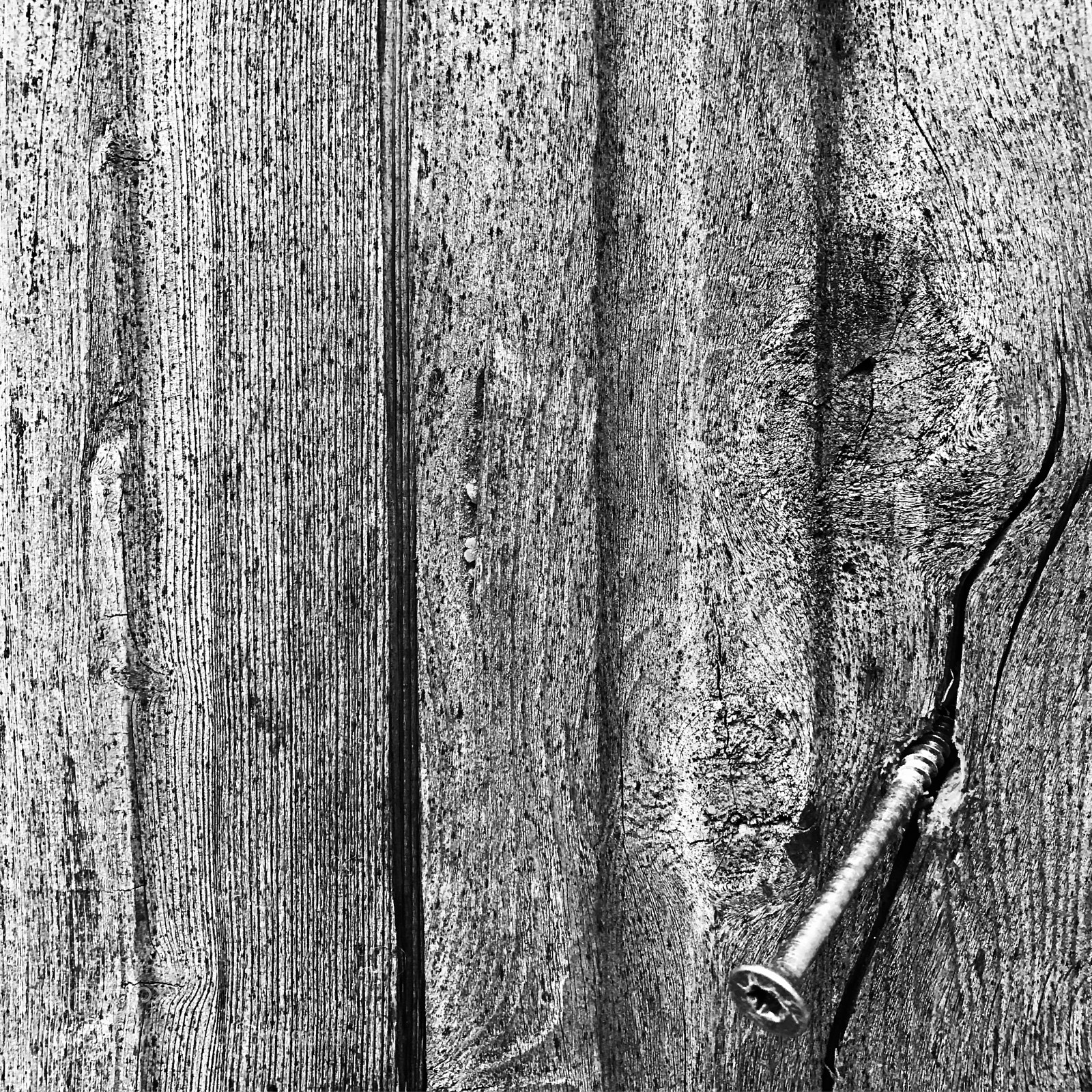 Apple iPhone 7 sample photo. Pn photography