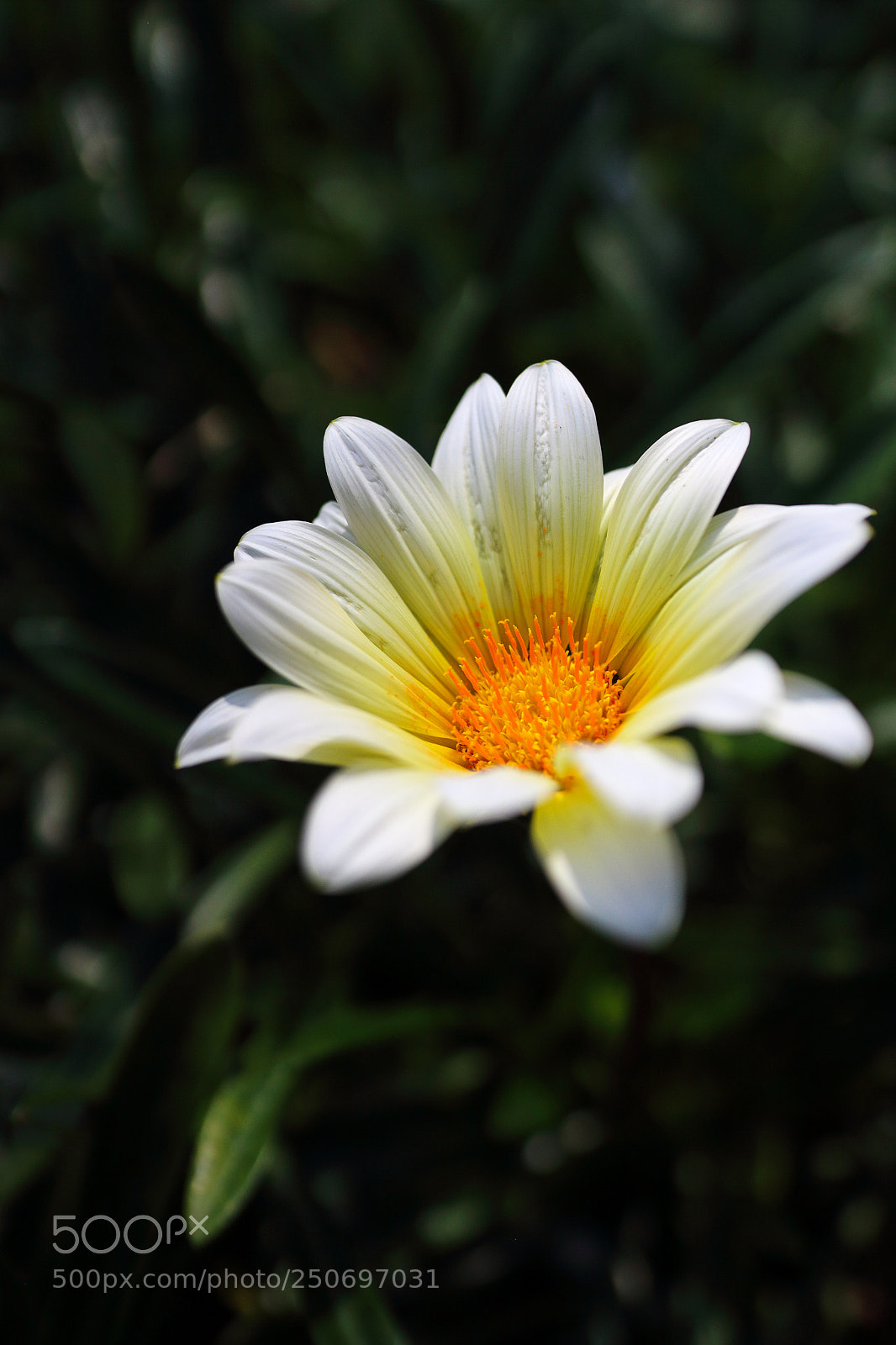 Canon EOS M sample photo. Standing up towards the photography