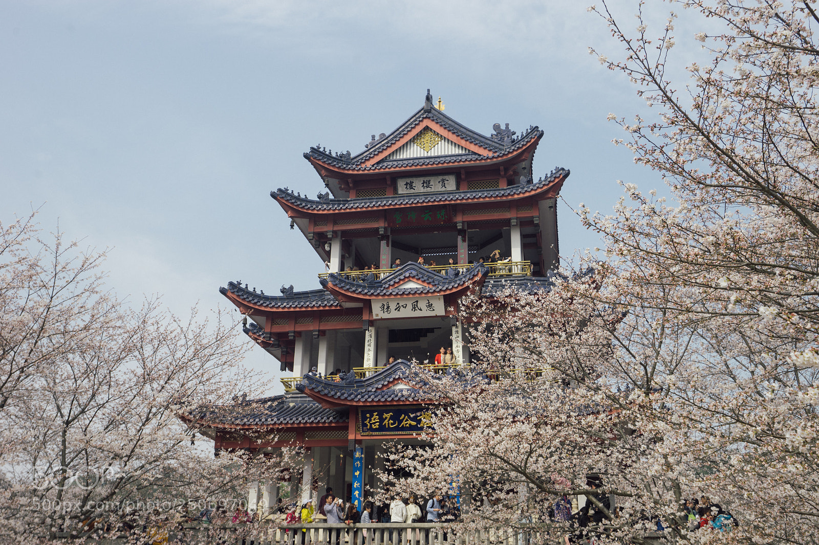 Sony a7 II sample photo. Untitled photography