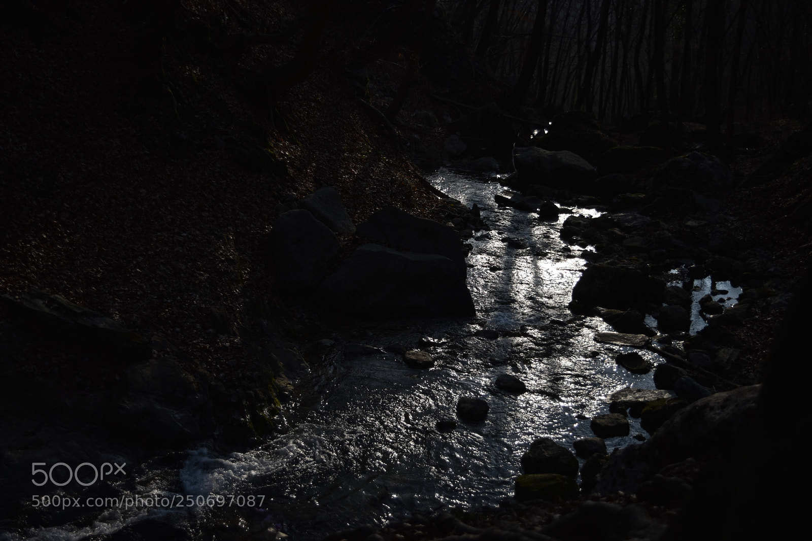 Nikon D5500 sample photo. "silver" river photography
