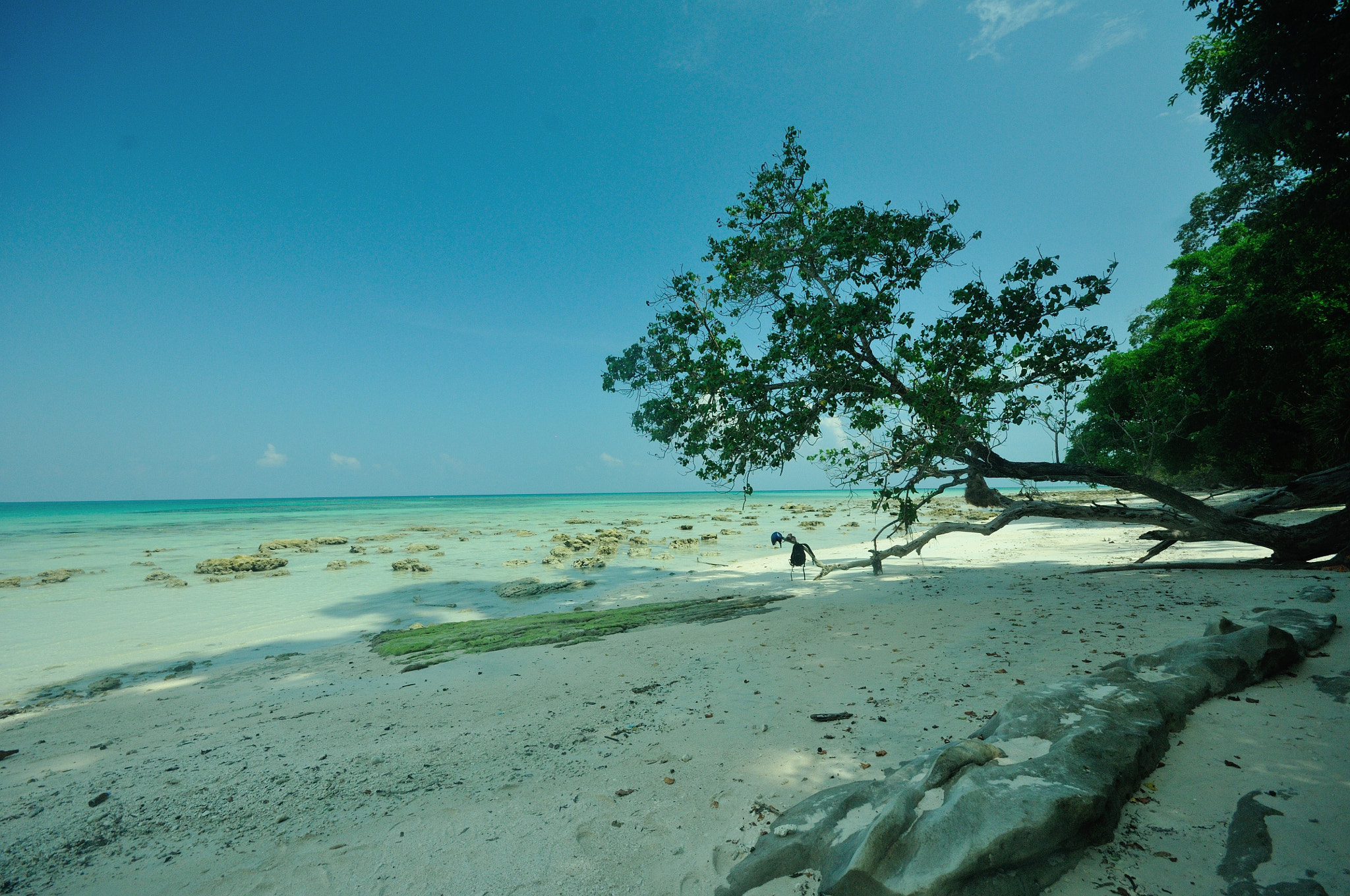 Nikon D300S + Sigma 10-20mm F4-5.6 EX DC HSM sample photo. Havelock, andamans photography