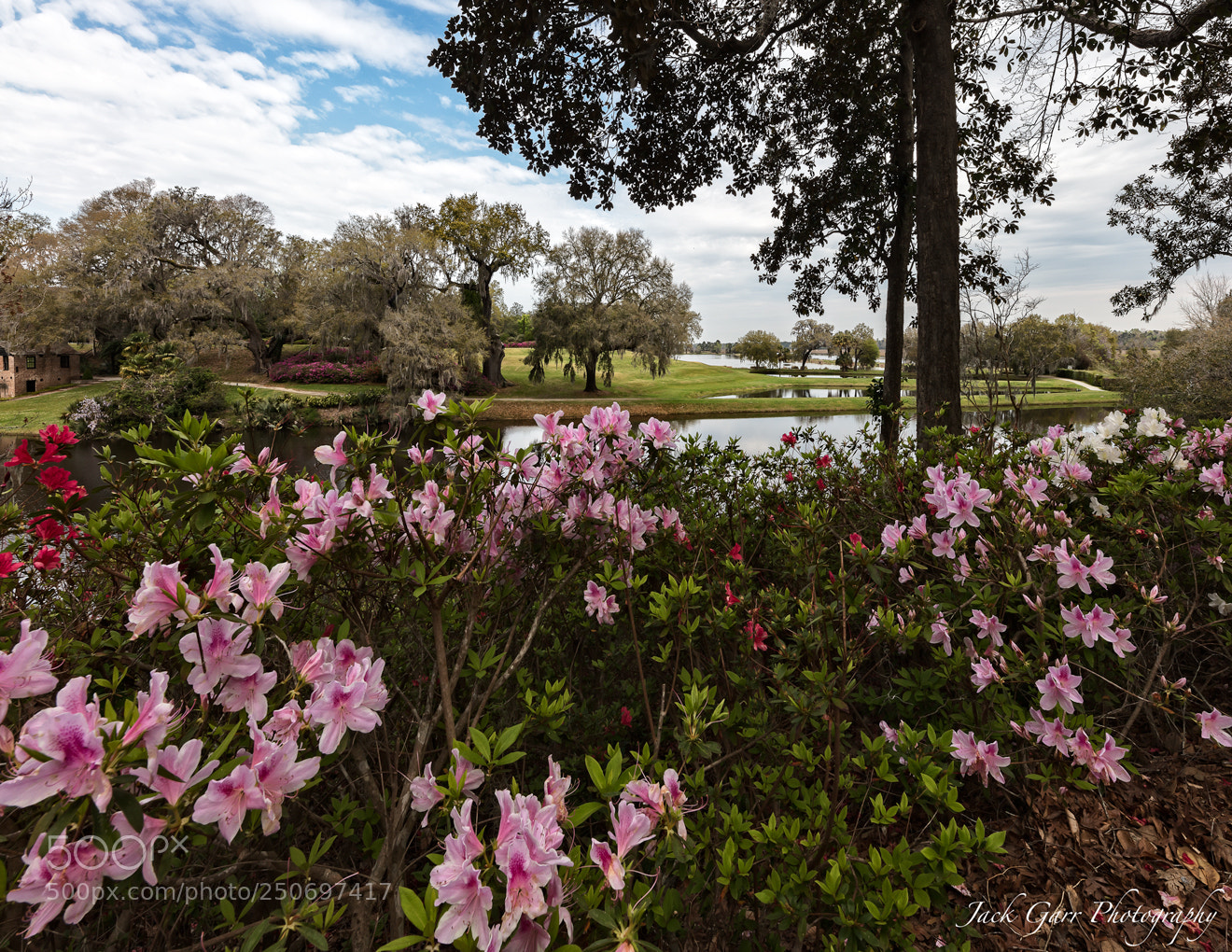 Canon EOS 5DS sample photo. Middleton place gardens photography