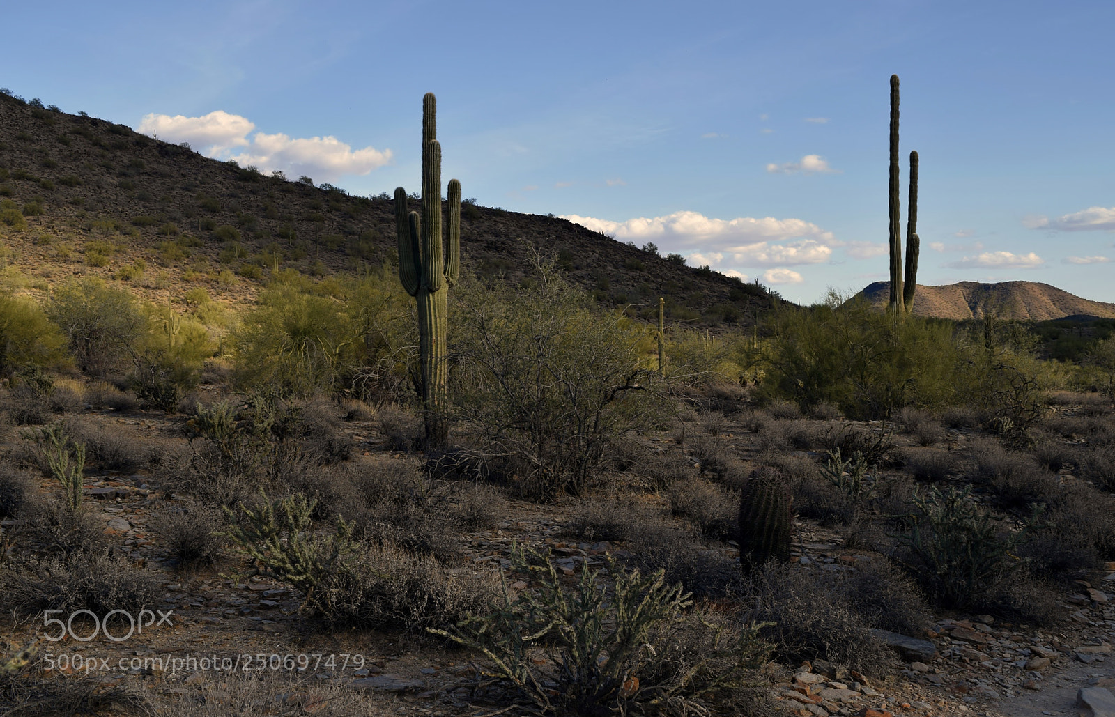 Nikon D5300 sample photo. Gateway loop trail 3 photography