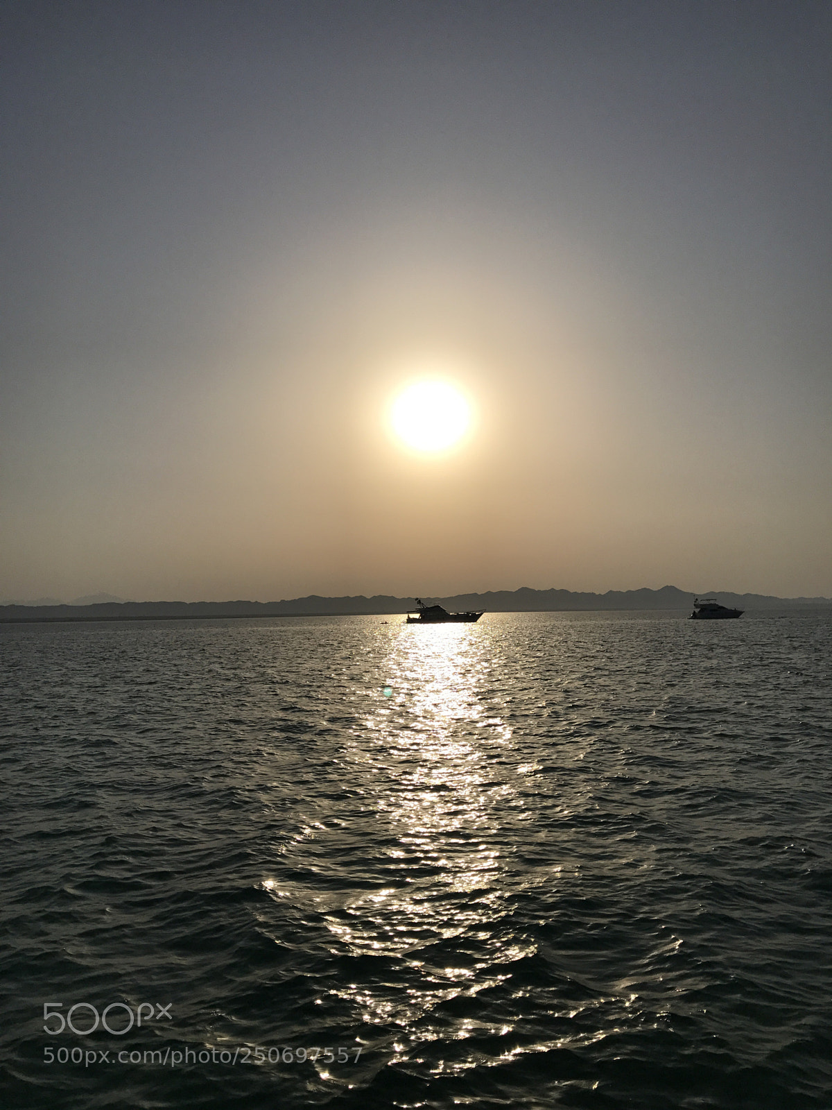 Apple iPhone 7 Plus sample photo. Sunset reflection, red sea photography