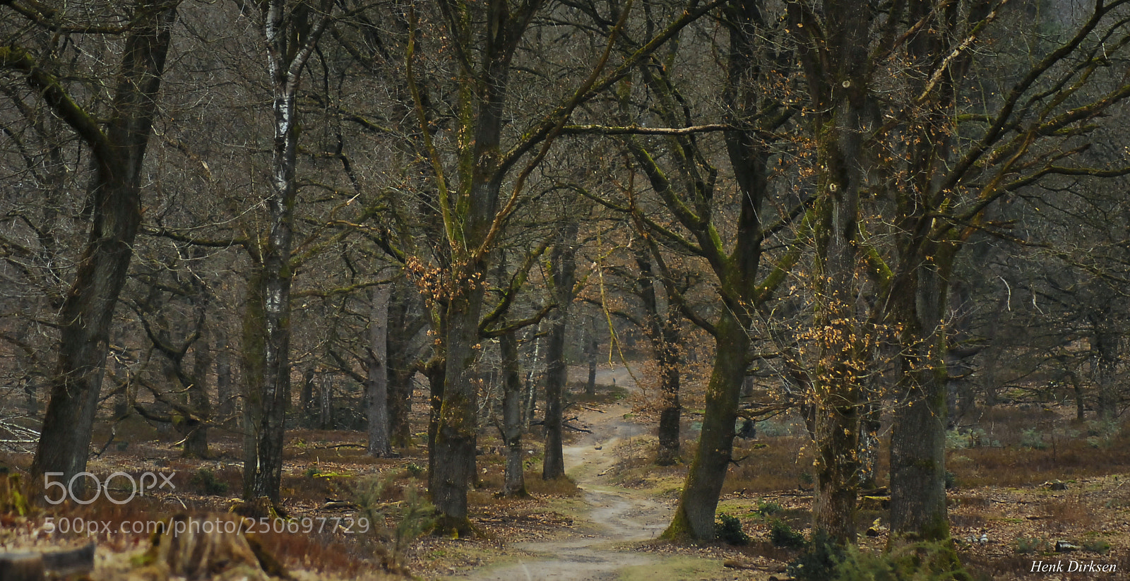 Nikon D200 sample photo. Zigzag photography