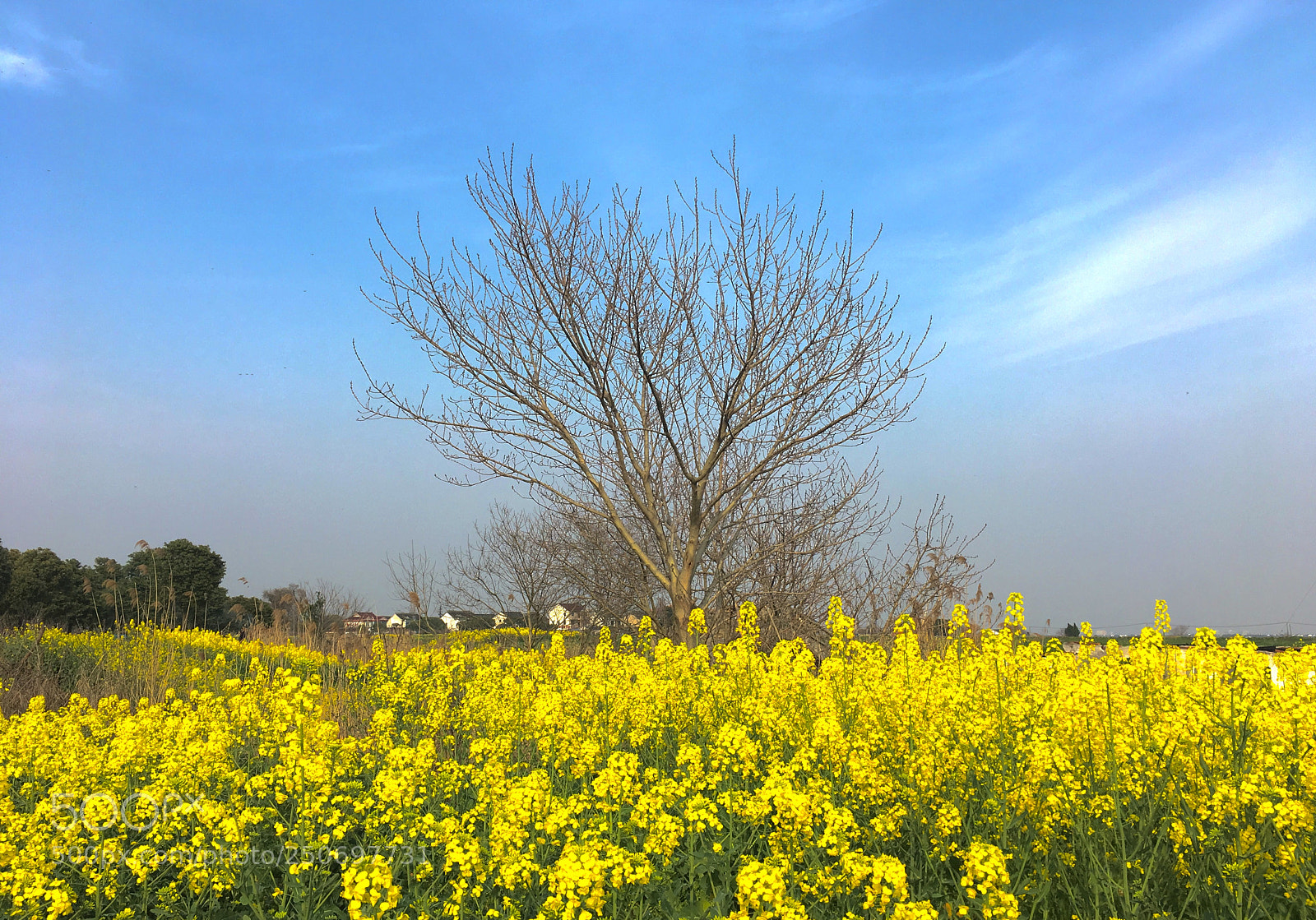 Apple iPhone 6s Plus sample photo. Untitled photography
