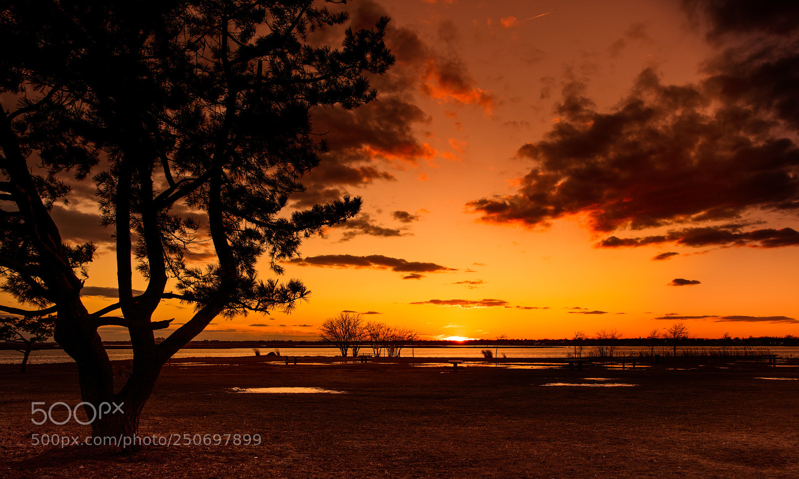 Nikon D810 sample photo. Sundown photography