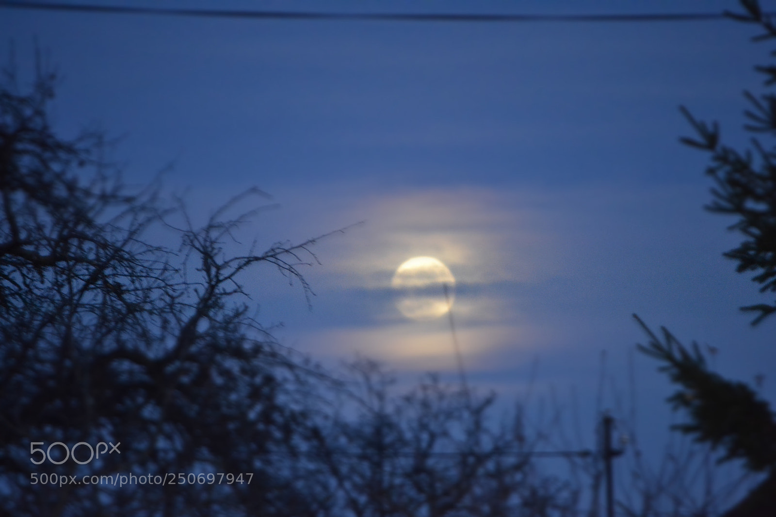 Nikon D3100 sample photo. Sub clar de ... lunĂ photography