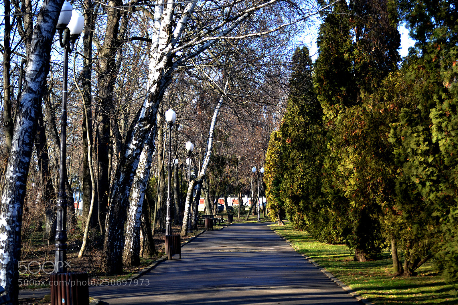 Nikon D3100 sample photo. Copou photography