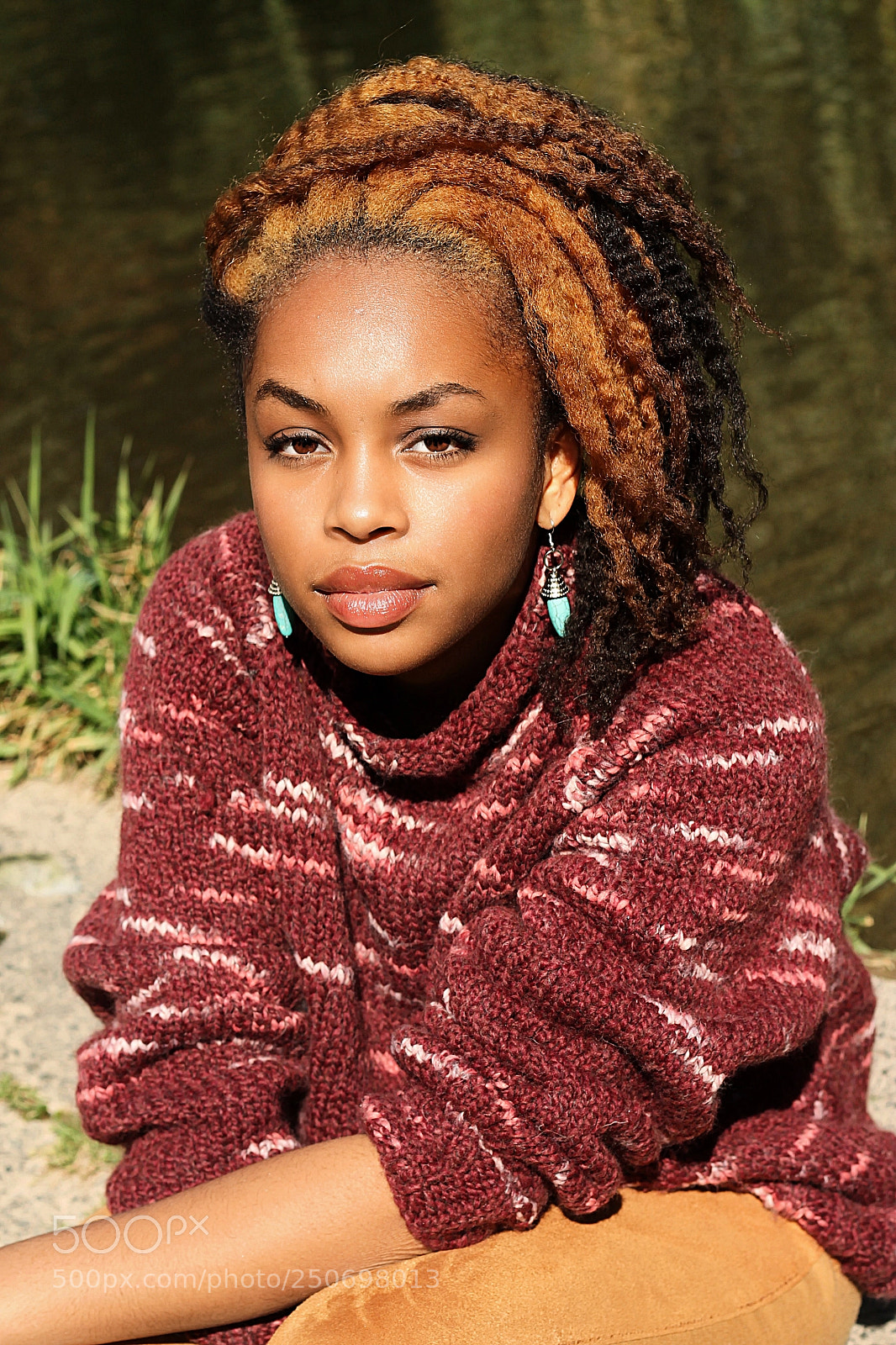 Canon EOS 1100D (EOS Rebel T3 / EOS Kiss X50) sample photo. The lioness 2 photography