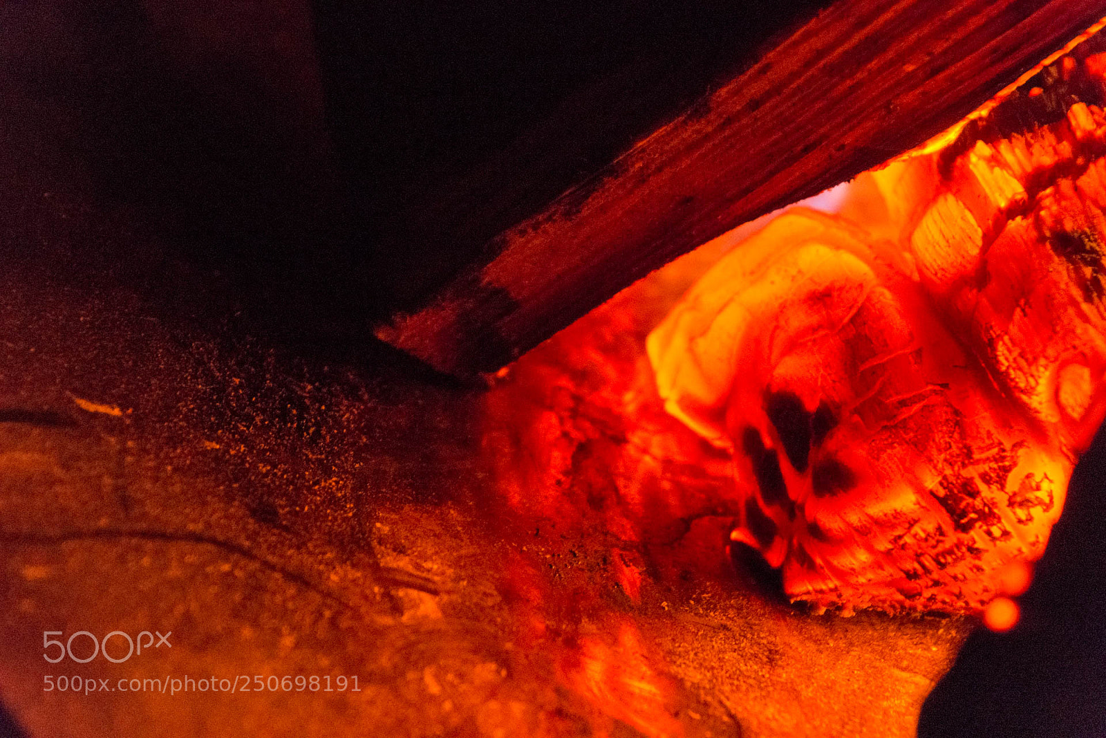 Nikon D7200 sample photo. Warmth photography