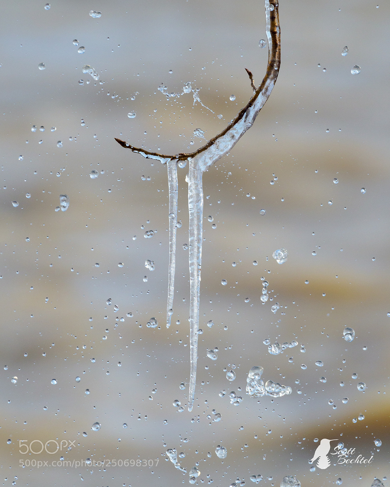 Olympus OM-D E-M1 Mark II sample photo. Lake erie icicle photography